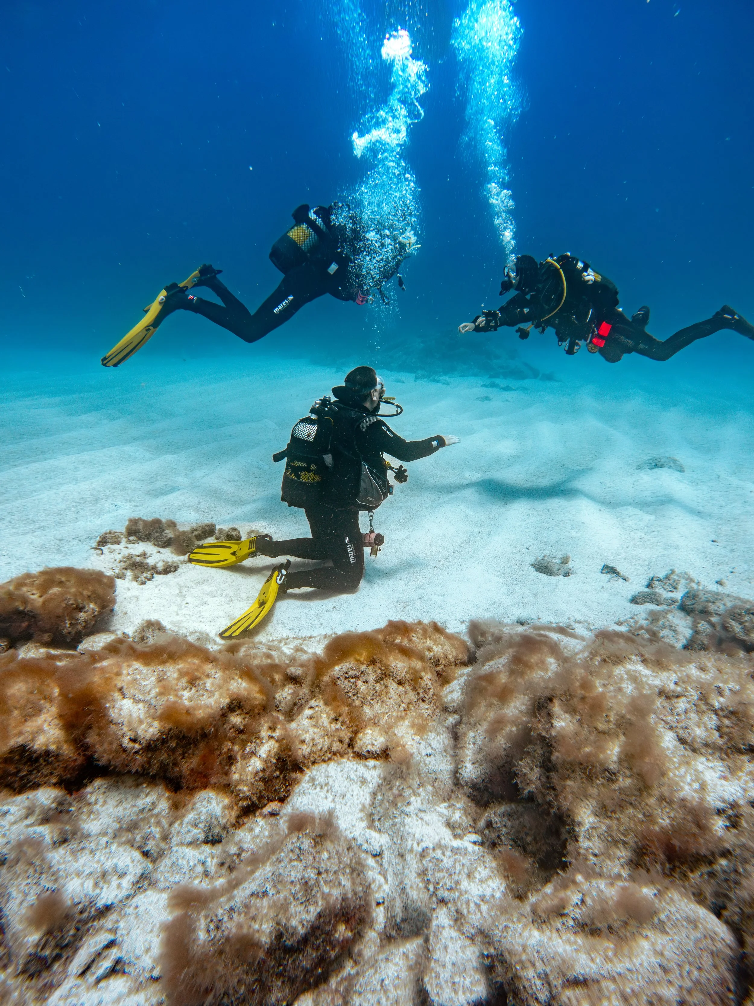 Three scuba divers exploring the ocean floor near coral and rocks.