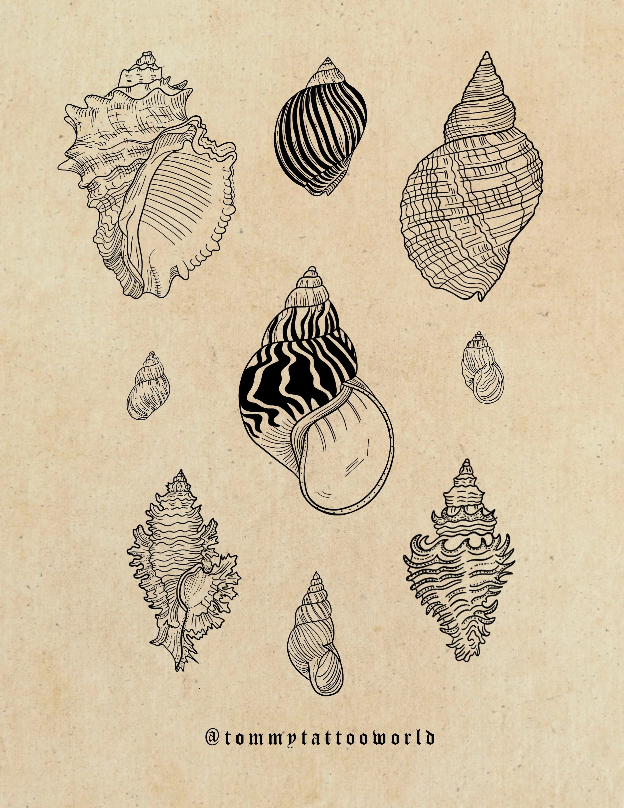 Untitled_Artwork 50.JPG