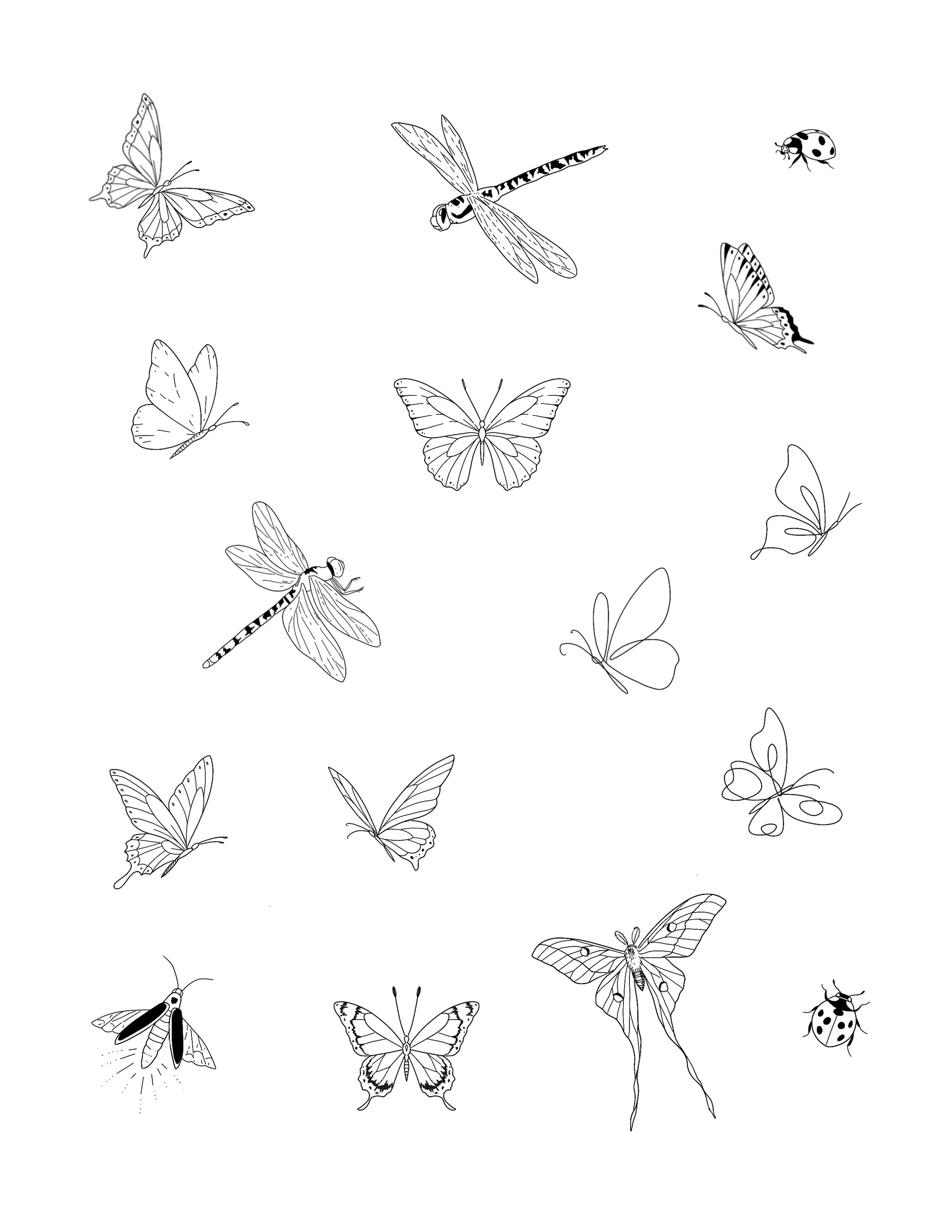 Untitled_Artwork 1.jpeg
