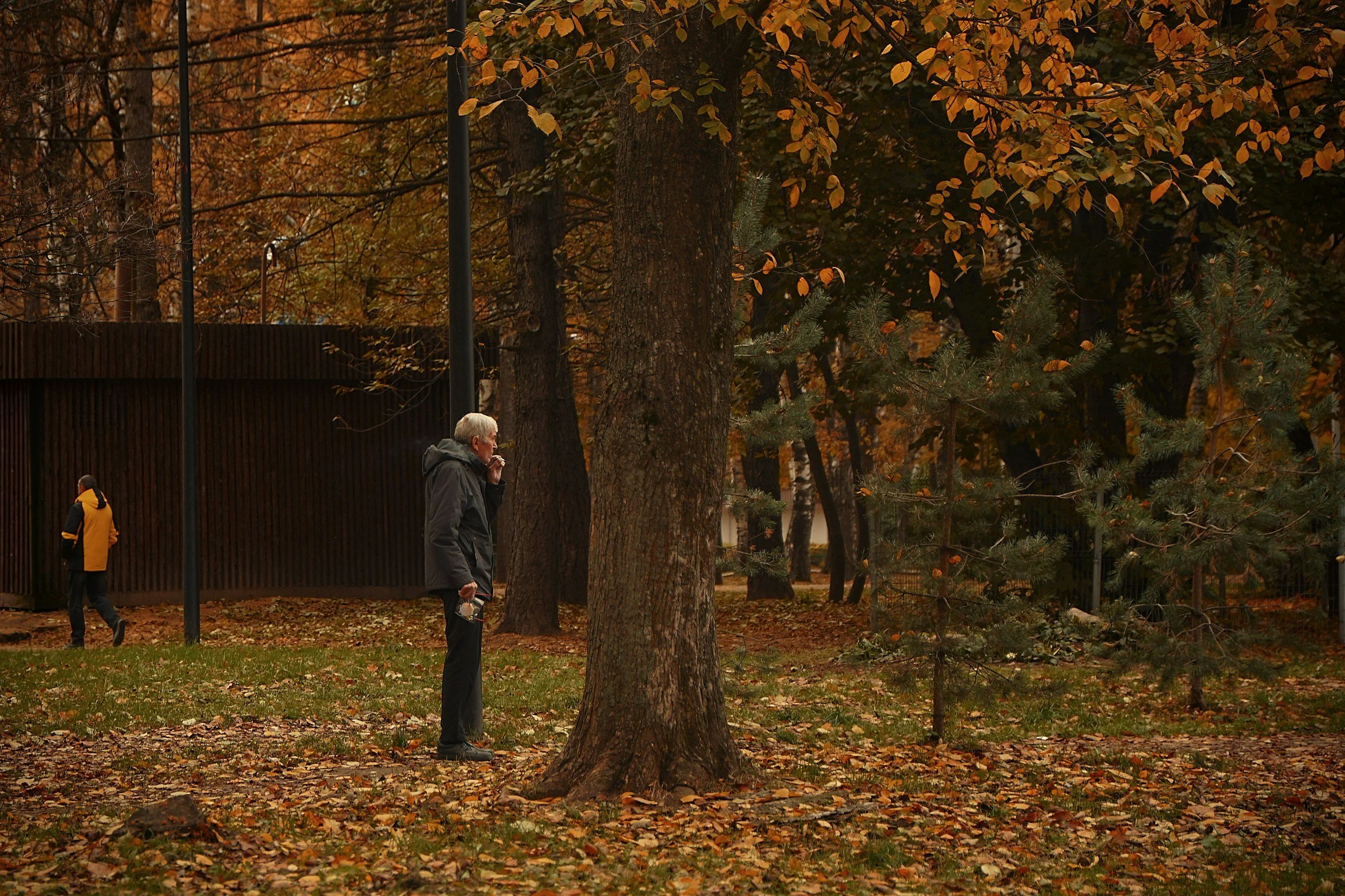 Two men in a park surrounded by trees with autumn leaves; one is on the phone, and the other is walking away in the background.