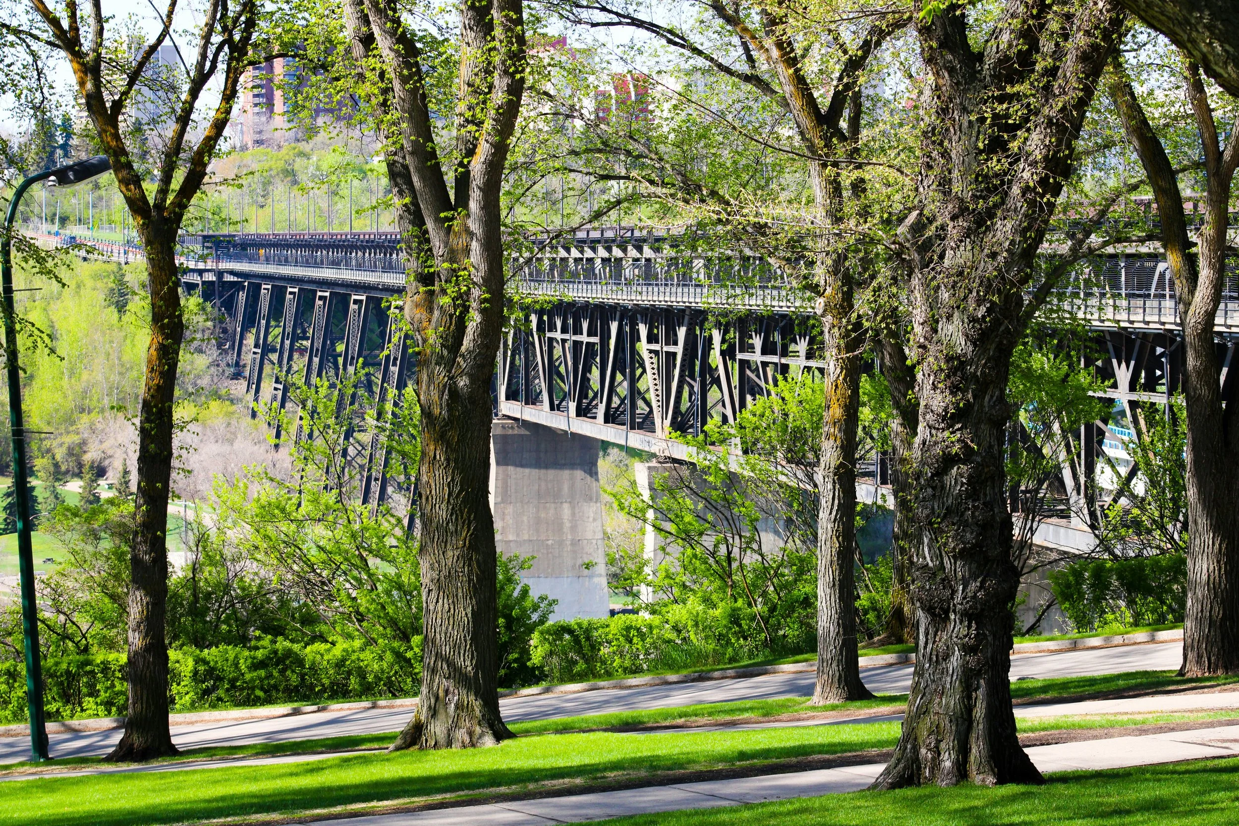 Photograph of a bridge taken from a park.