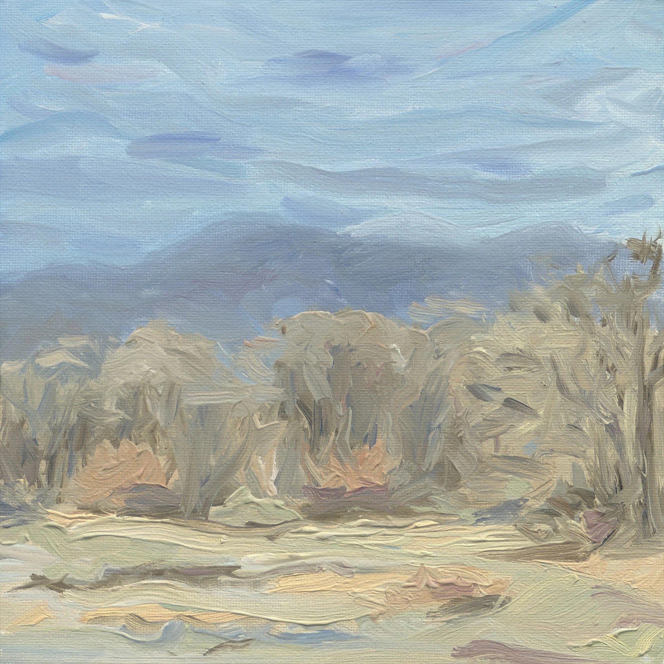 Pastel Winter Light