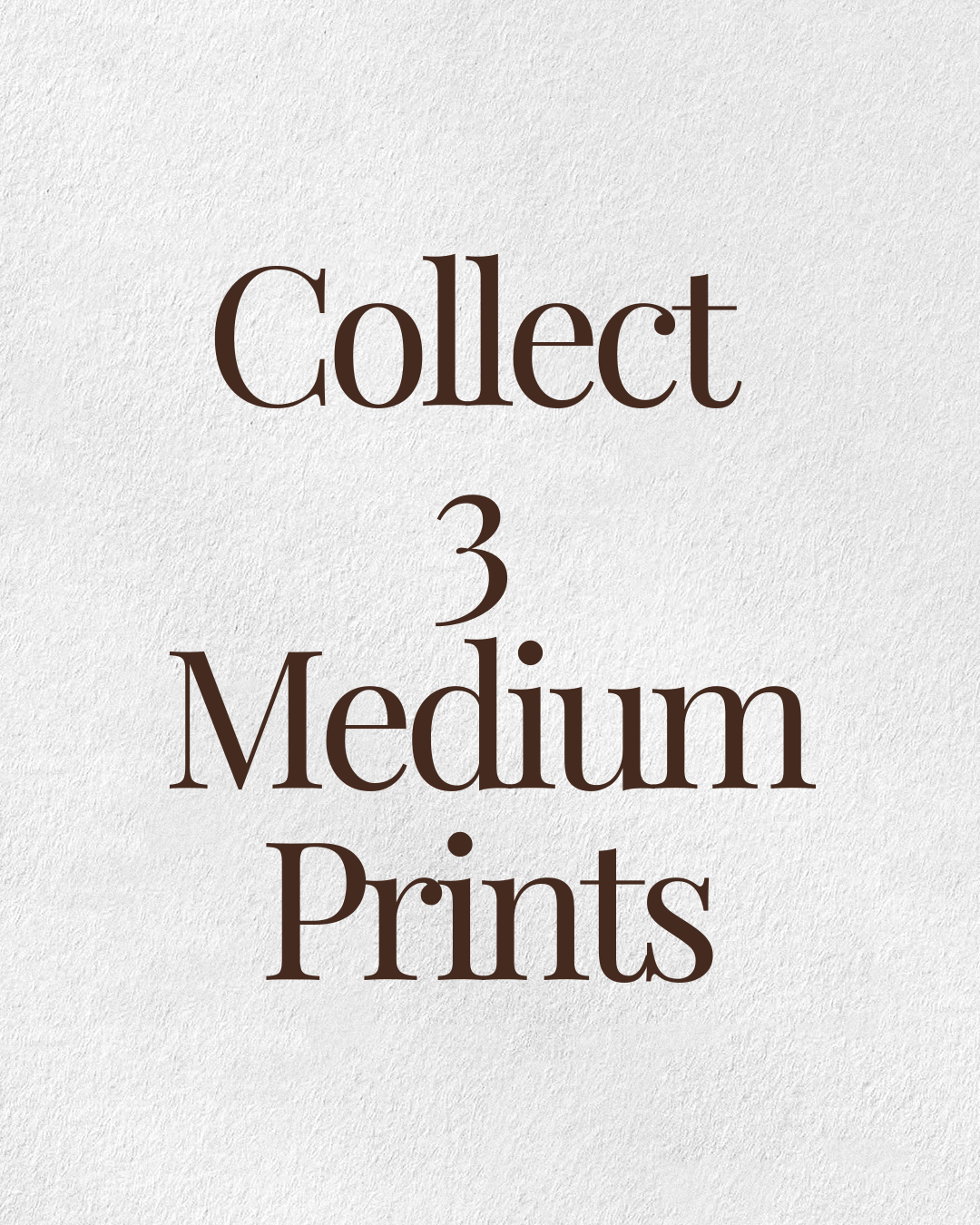 Set of 3 - Medium