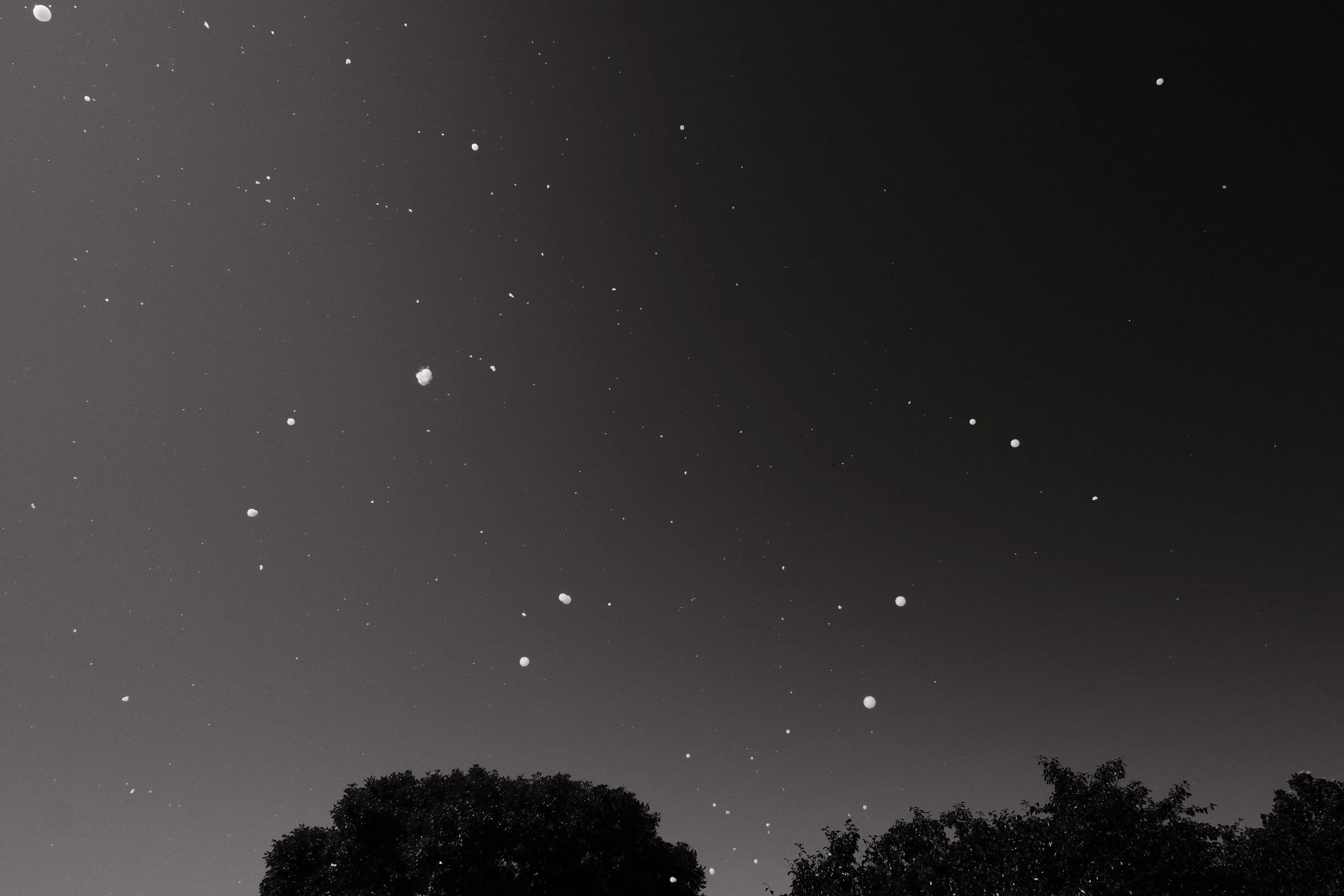XT5X2080.jpg