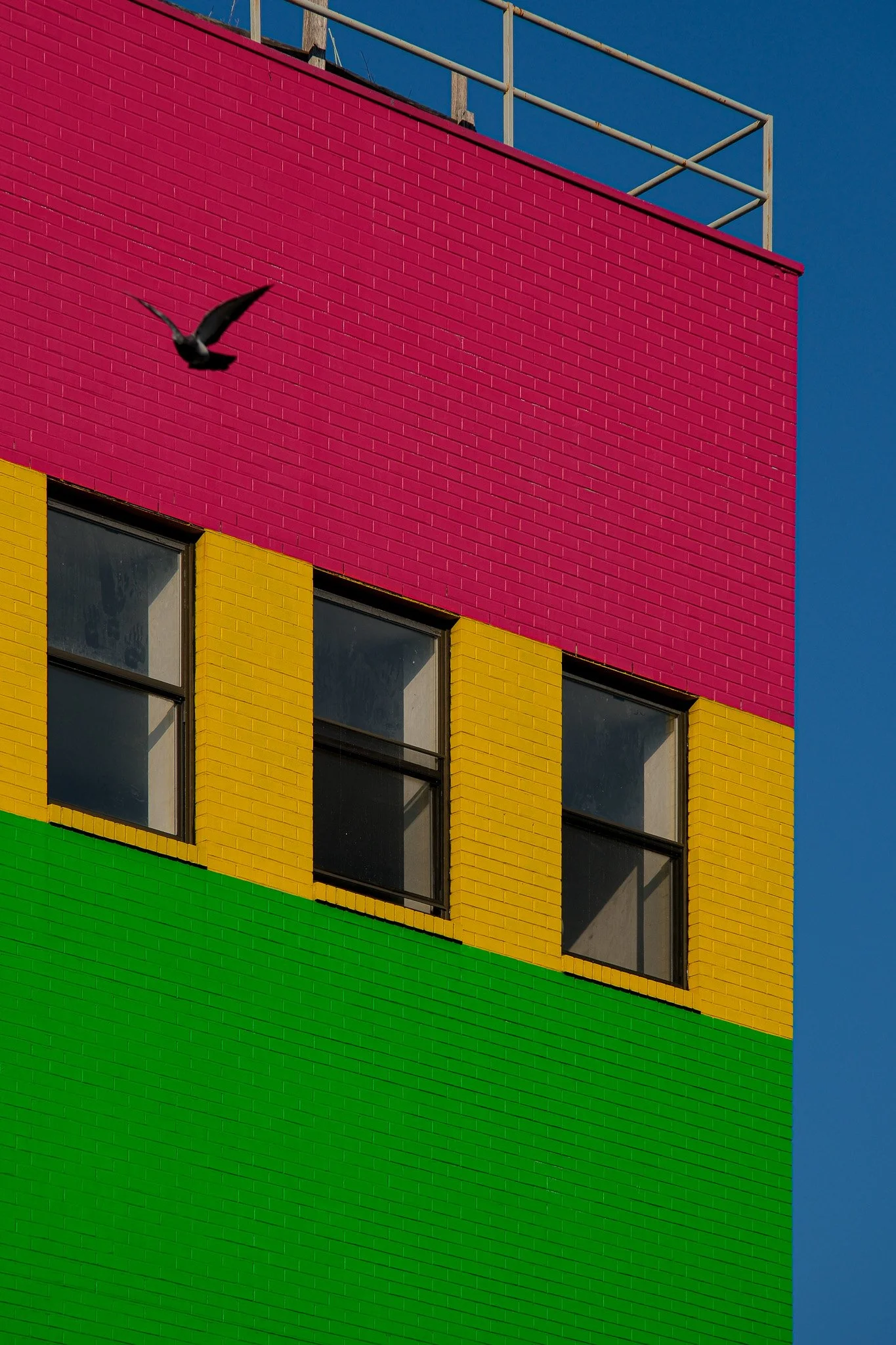 Rainbow Building with Bird, Brooklyn, NY