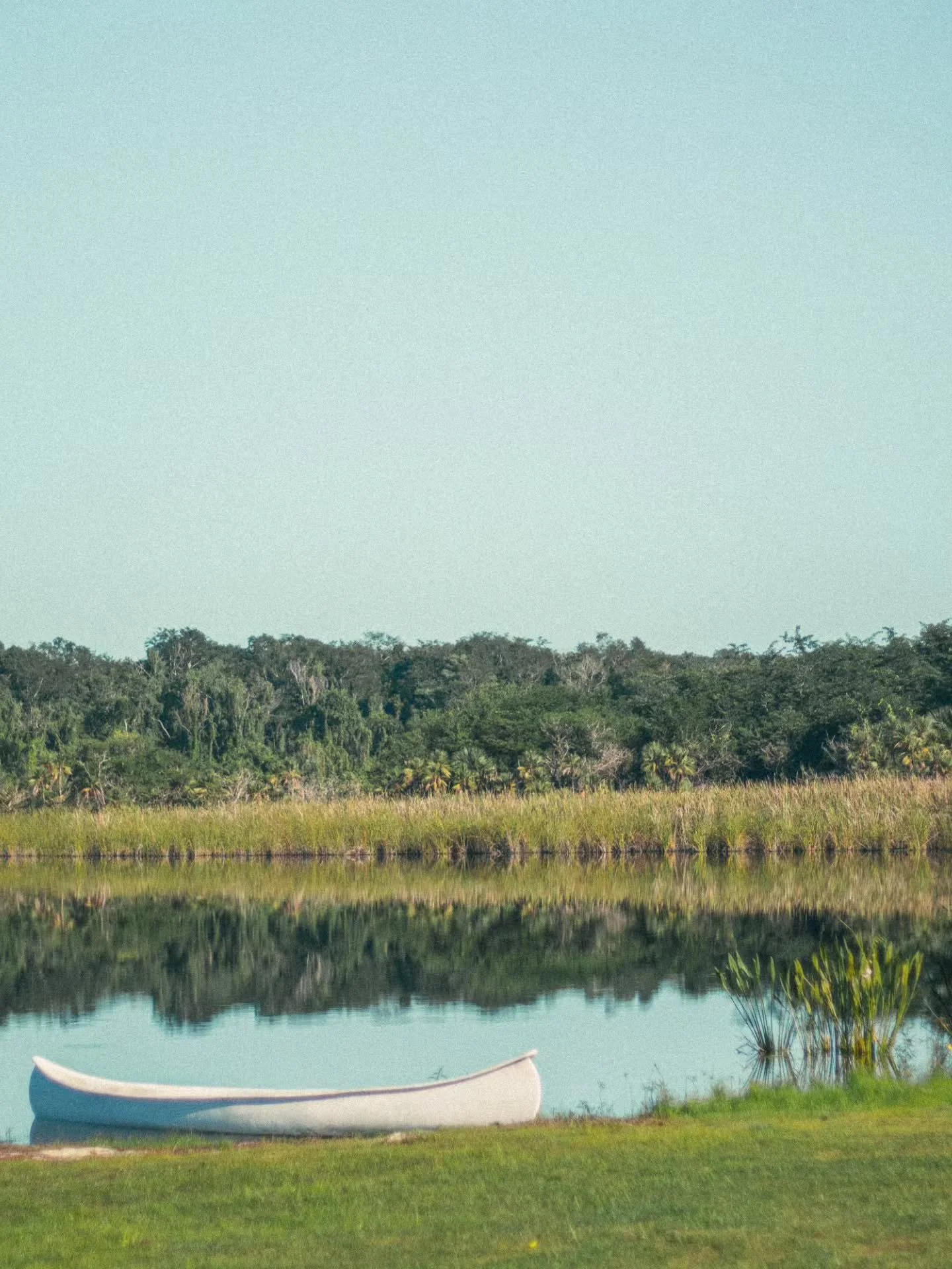 Manejar hasta la laguna fue parte de la experiencia.
Carretera larga, tiempo para pensar y el ritmo que solo te da salir de lo cotidiano.
.
.
.
#Laguna #RoadTrip #VidaCreativa #Detr&aacute;sDeLaC&aacute;mara #CrearEnMovimiento