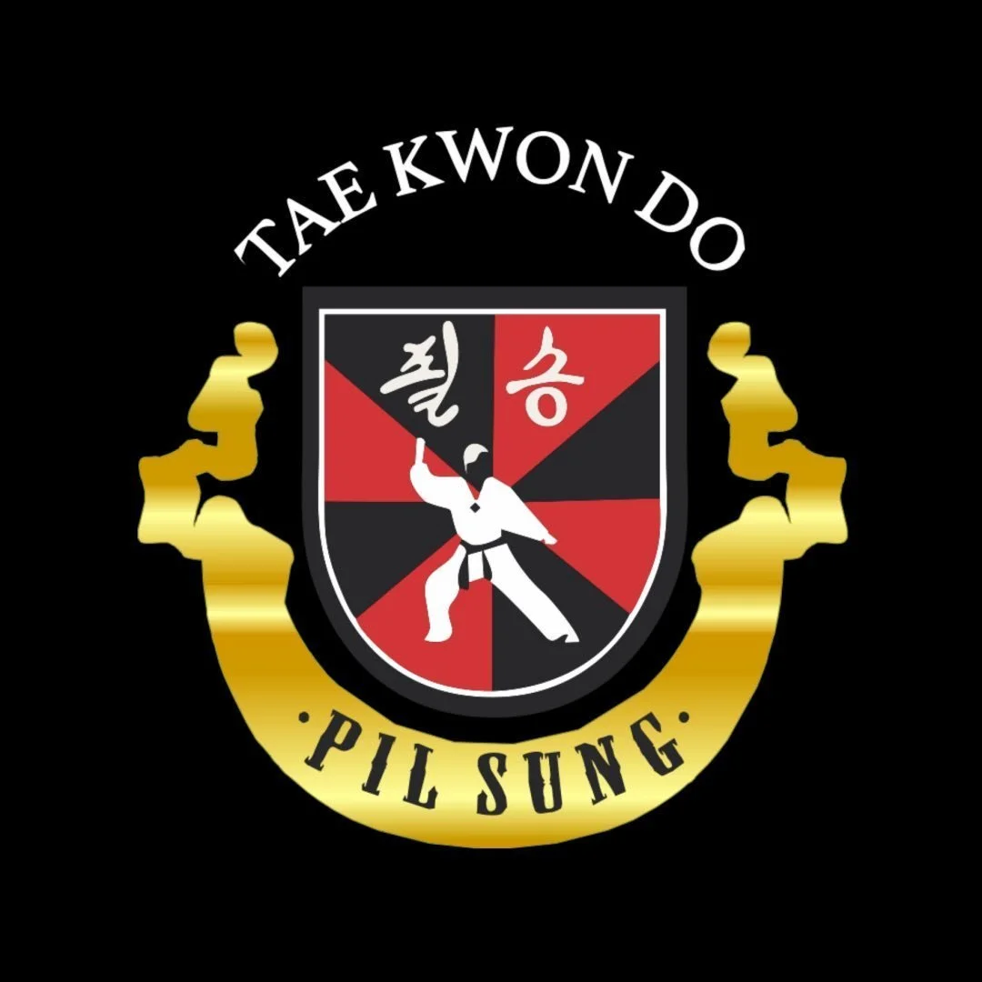 Producción mensual de contenido — Pil Sung Central (Noviembre)