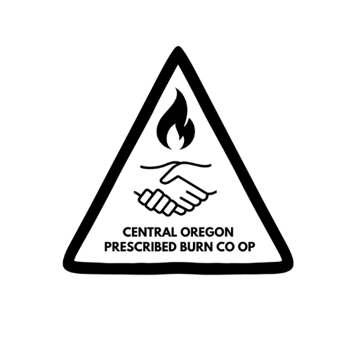 14.png