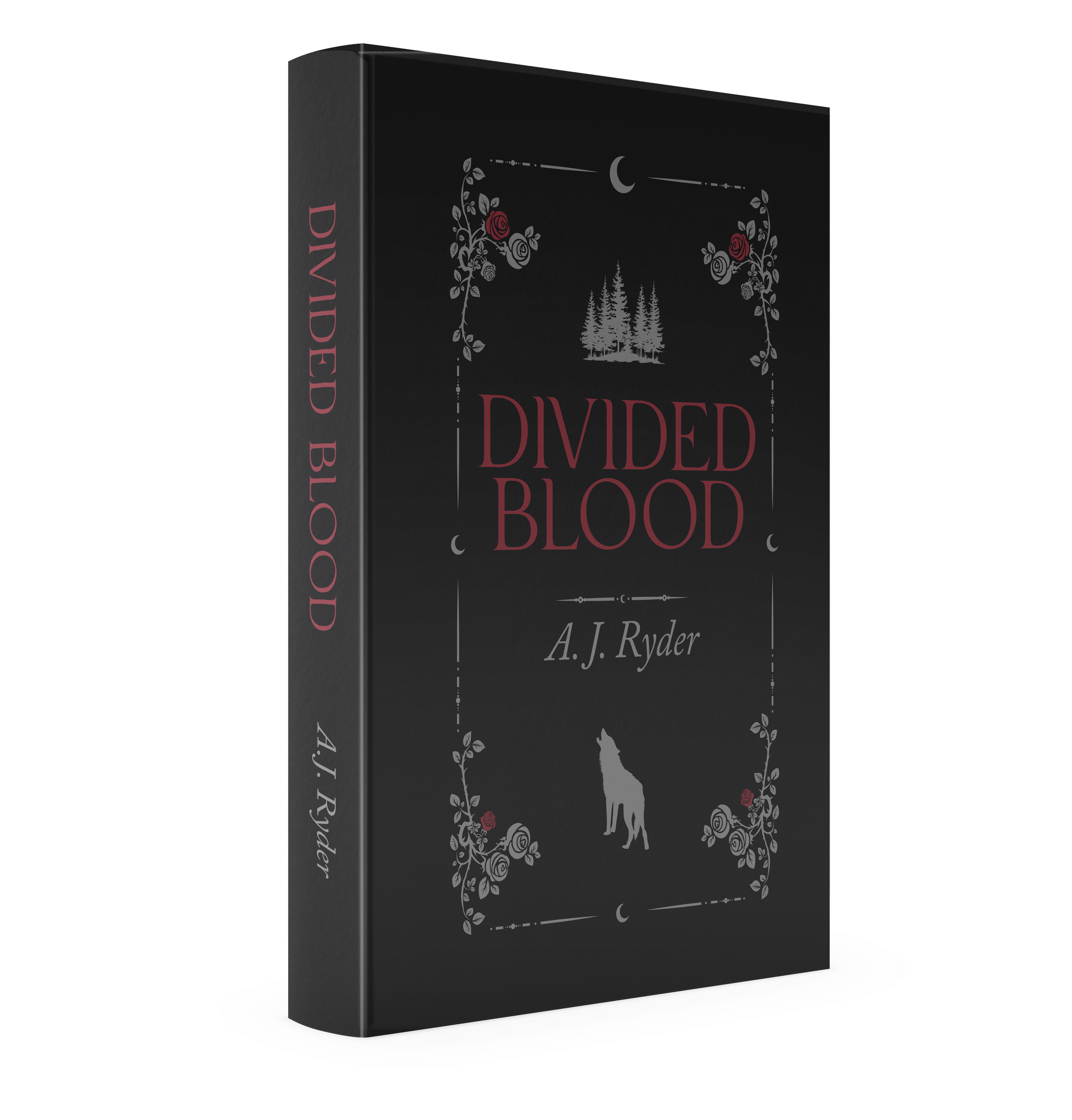 Paperback Mockup for Divided Blood