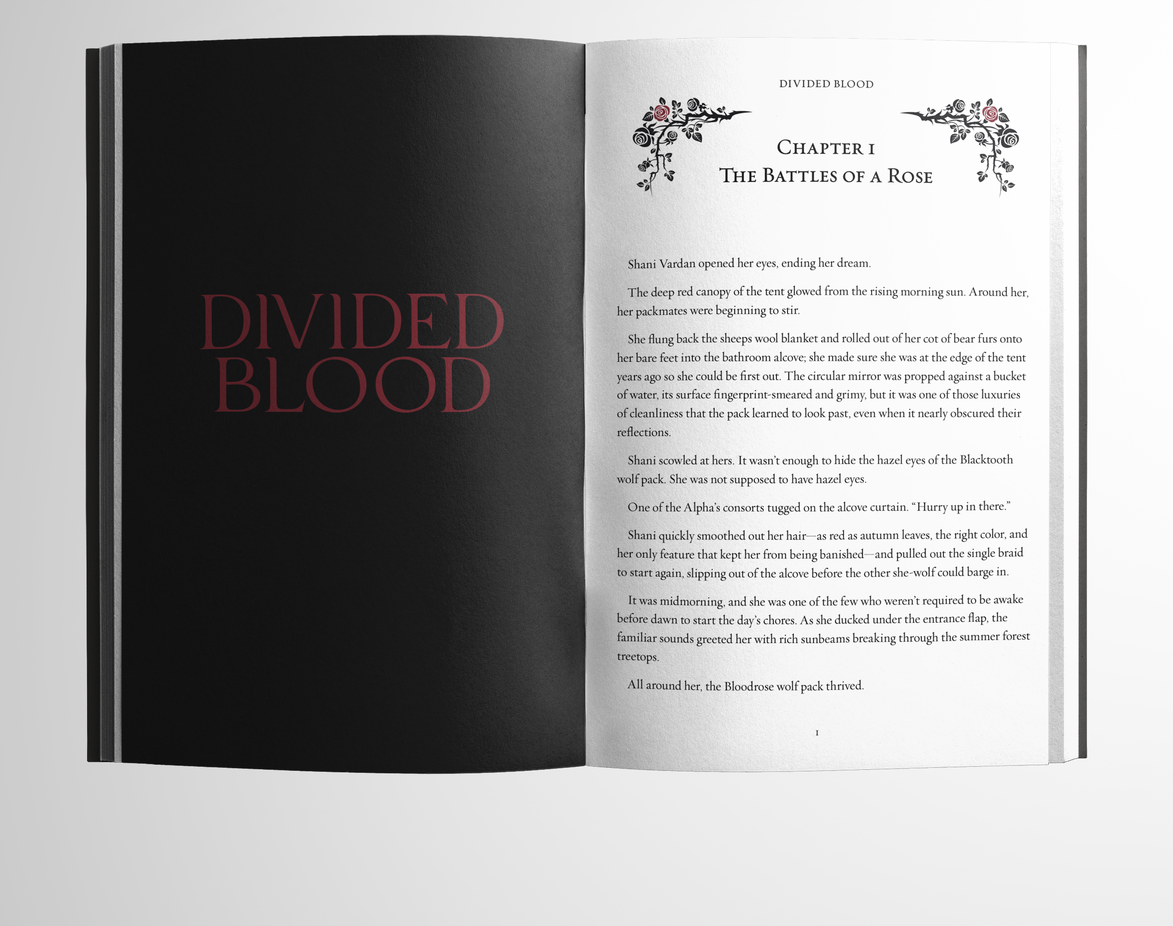 Page Spread for Divided Blood