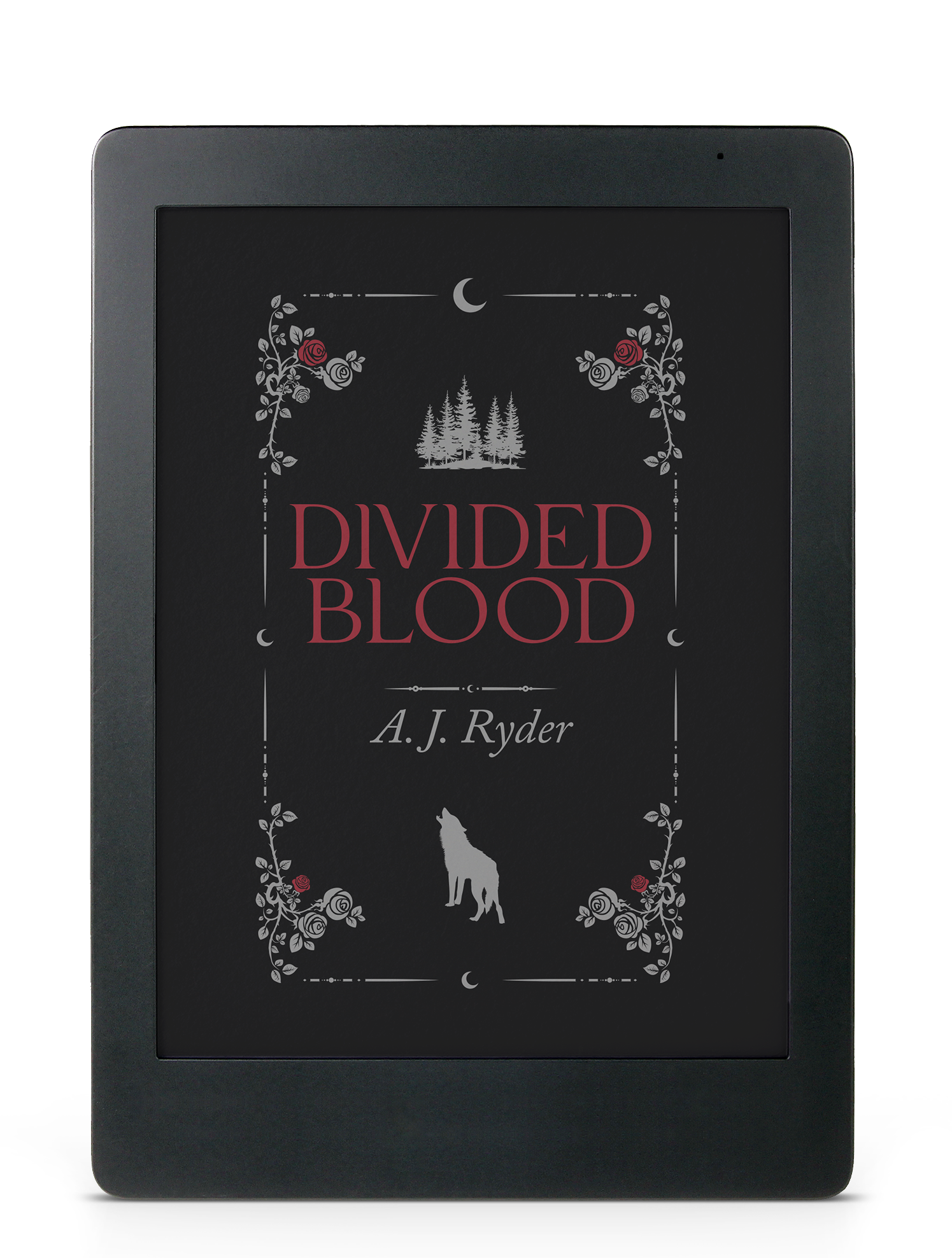 eBook Mockup for Divided Blood