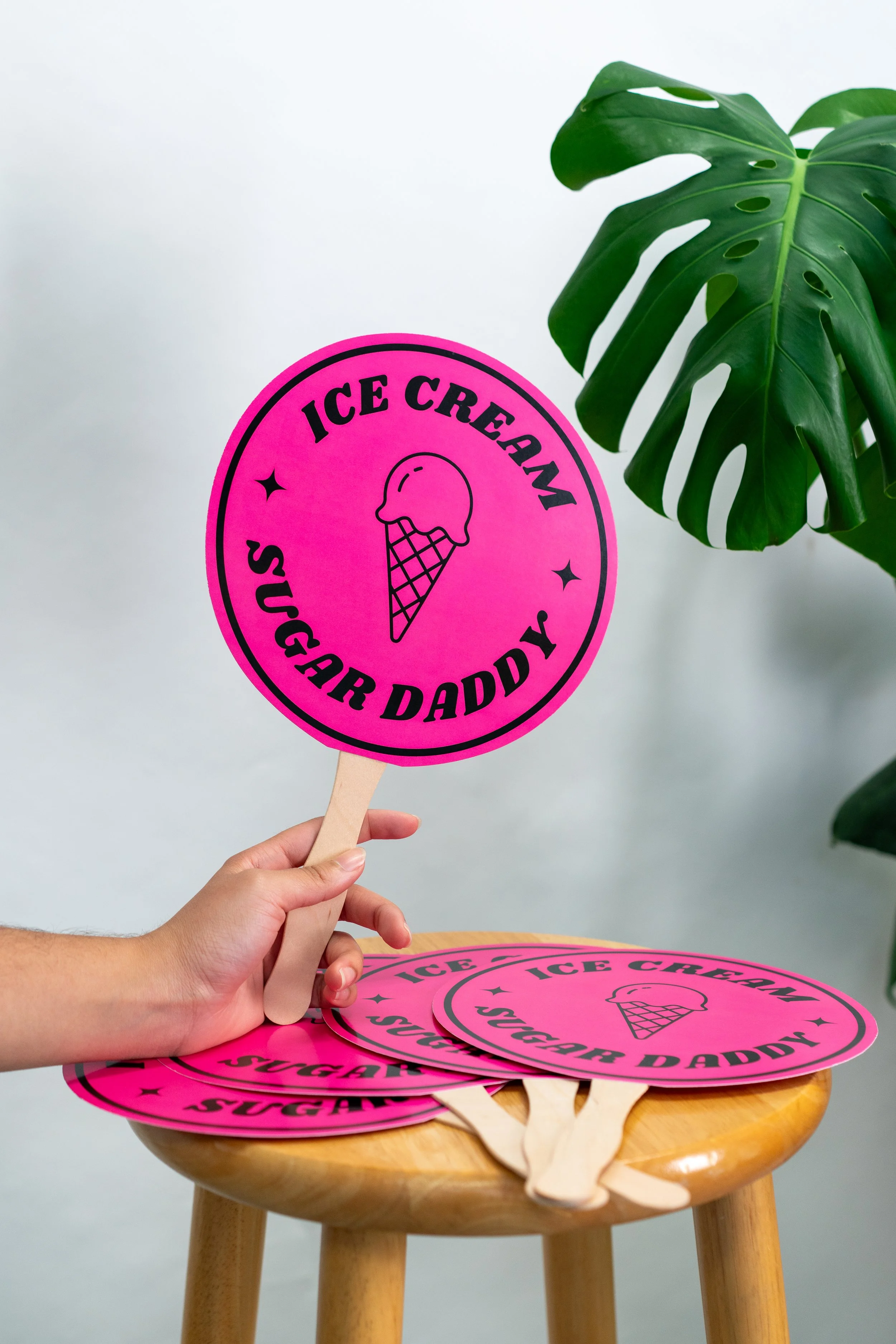 Hand Fan