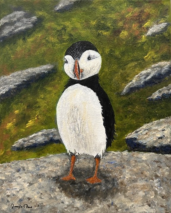 A Puffin