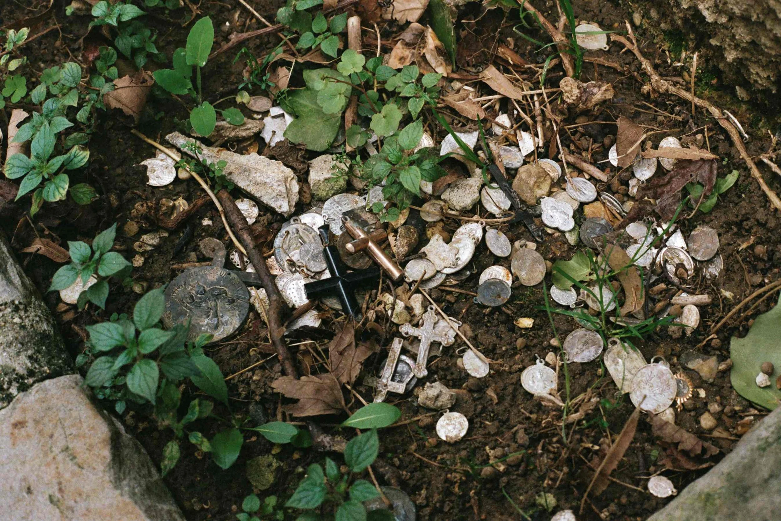 10-000051740006.jpg