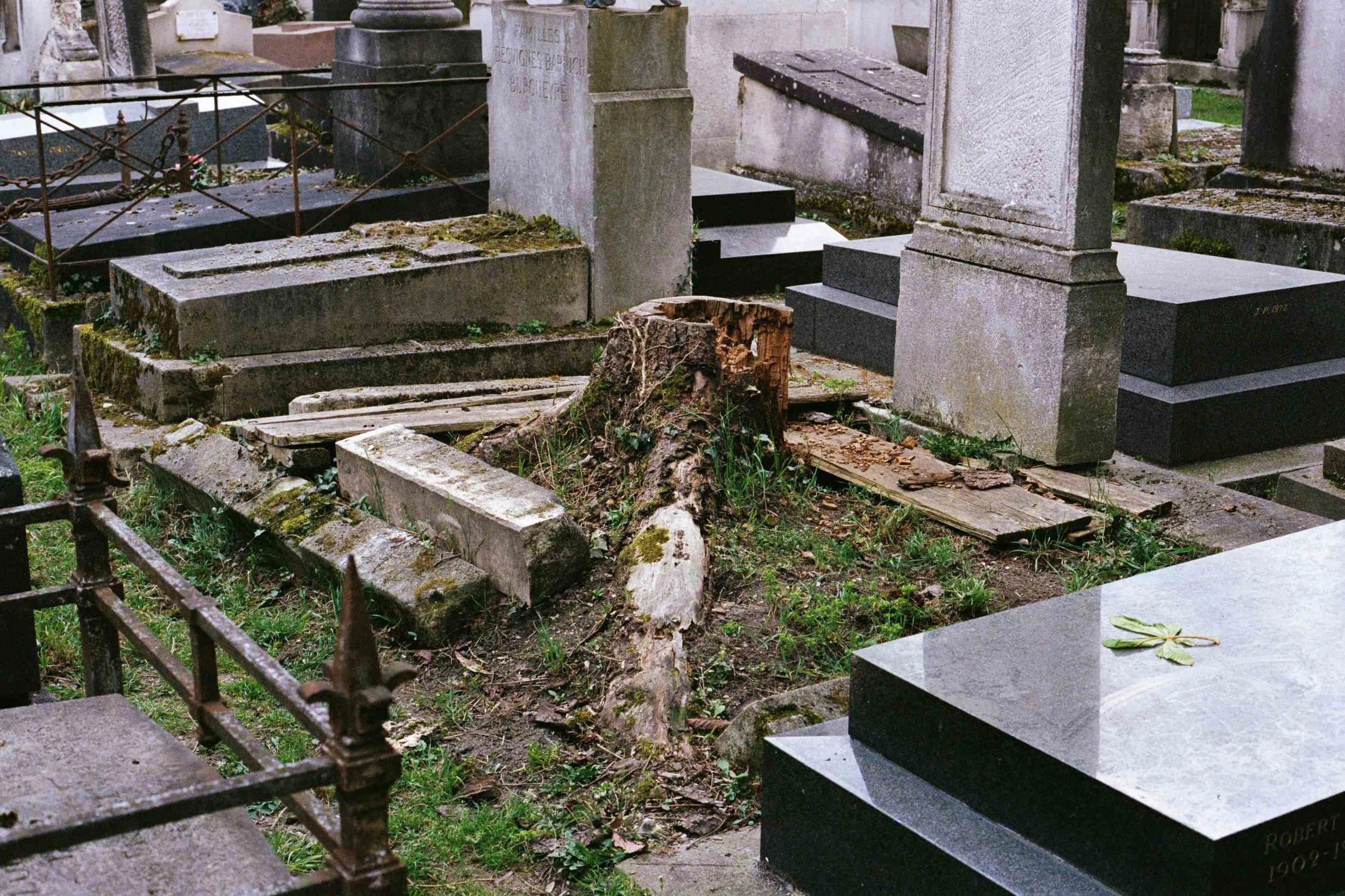 26-000039250012.jpg