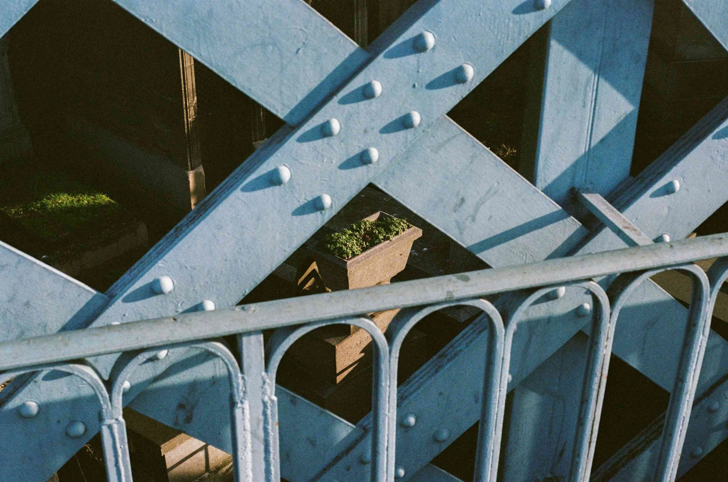 5-000068510017.jpg