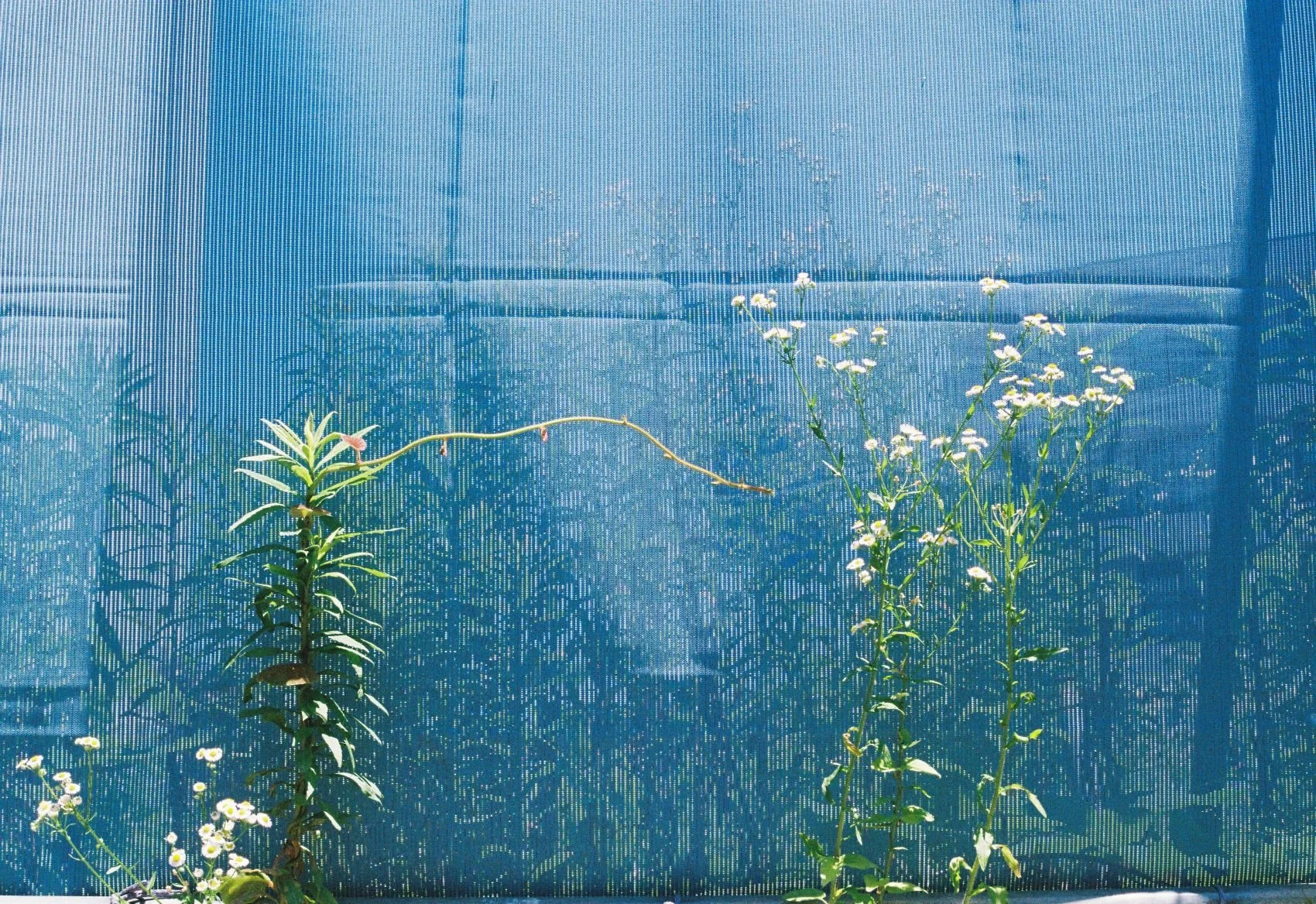 20-0614269_0065.jpg