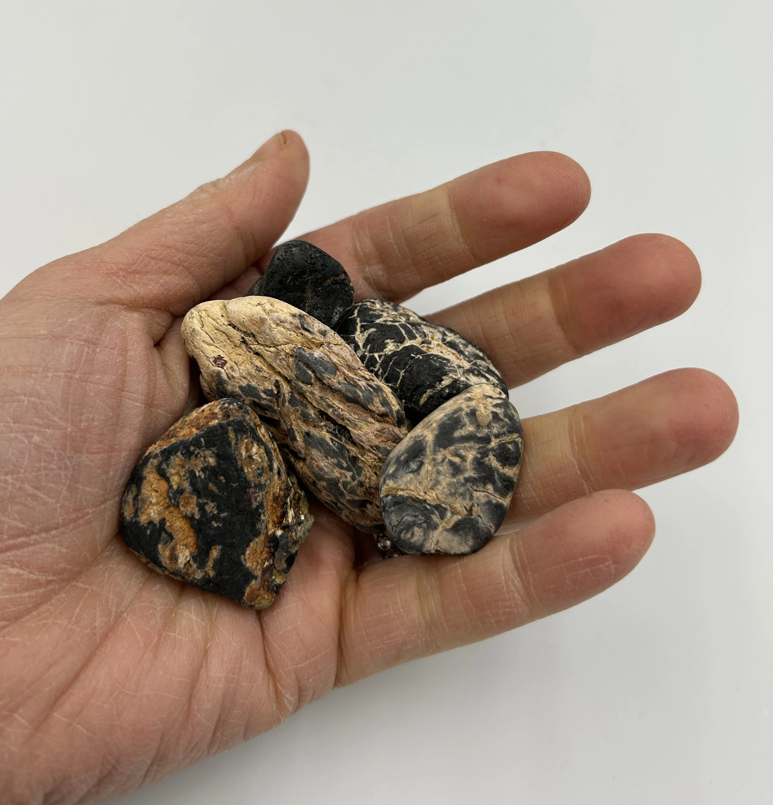 Large Ripple Bowl Black Brown White Blue 9.jpg