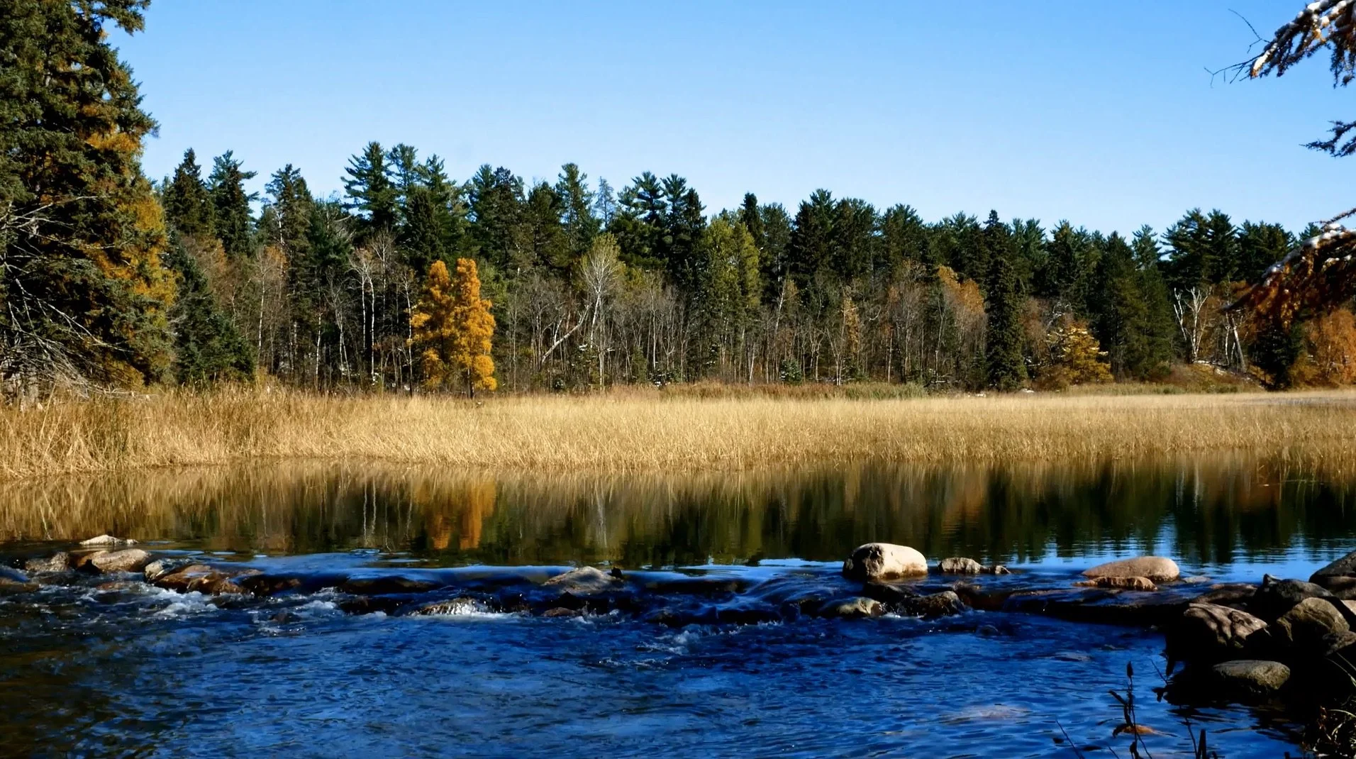 headwaters med shot still.jpeg