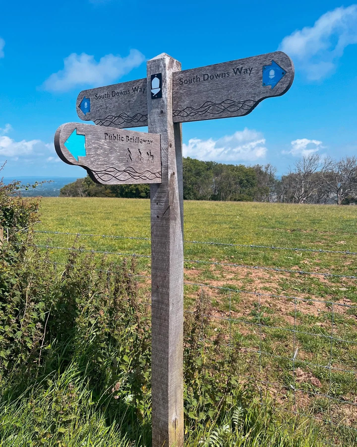 We enjoyed a lovely sunny hike along the South Downs Way today from Hassocks to Lewes, taking in the Jack &amp; Jill windmills, a coffee wagon, an ice-cream van, skylarks, orchids &amp; finishing with a pint or two of local Sussex beer at the @kingsh