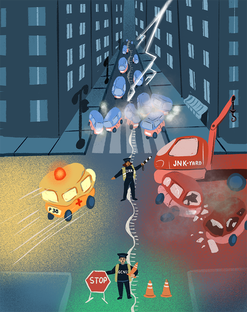 Cells must respond to diverse external and internal pertubations to ensure survival.  These responses are coordinated by various signaling and quality control pathways.