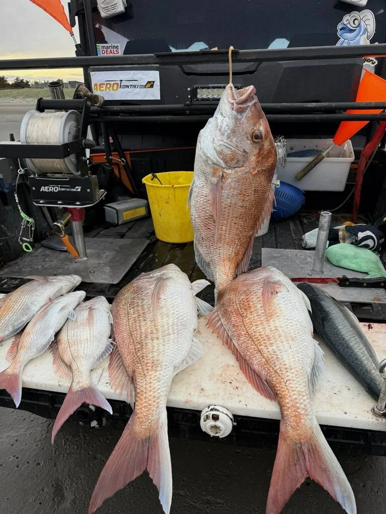 WhatsApp Image 2026-04-08 at 14.06.01.jpeg