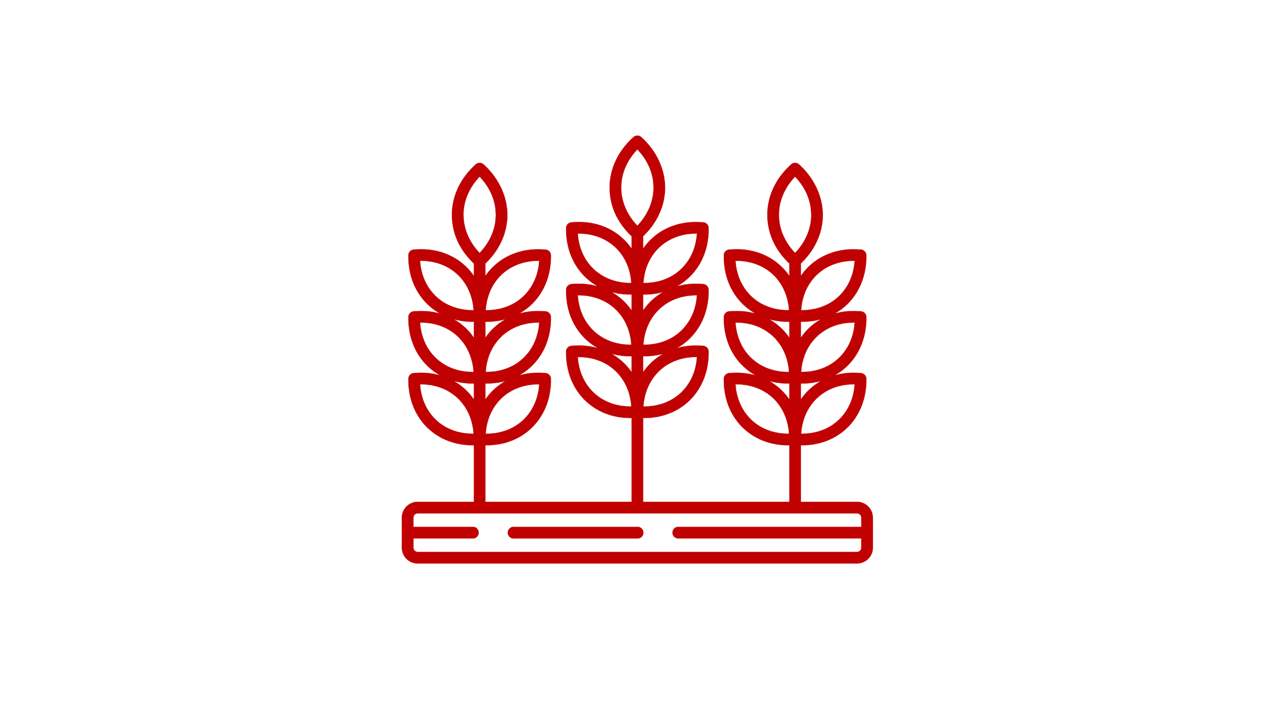 Supporting youth in agriculture