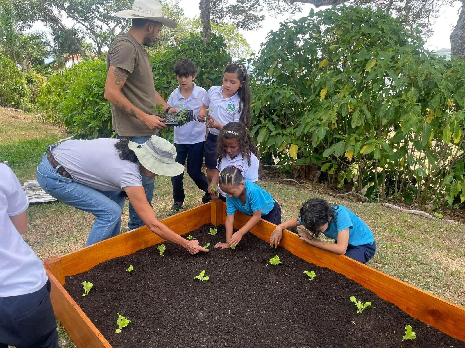 Niños y adultos plantando pequeñas plantas en un jardín elevado de tierra, rodeados de vegetación y árboles.