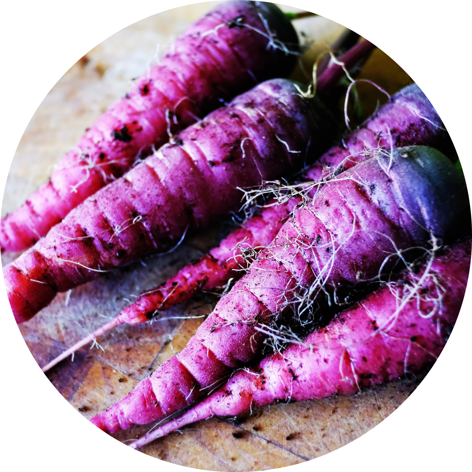 Variedad de zanahorias moradas con raíces finas en una superficie de madera.