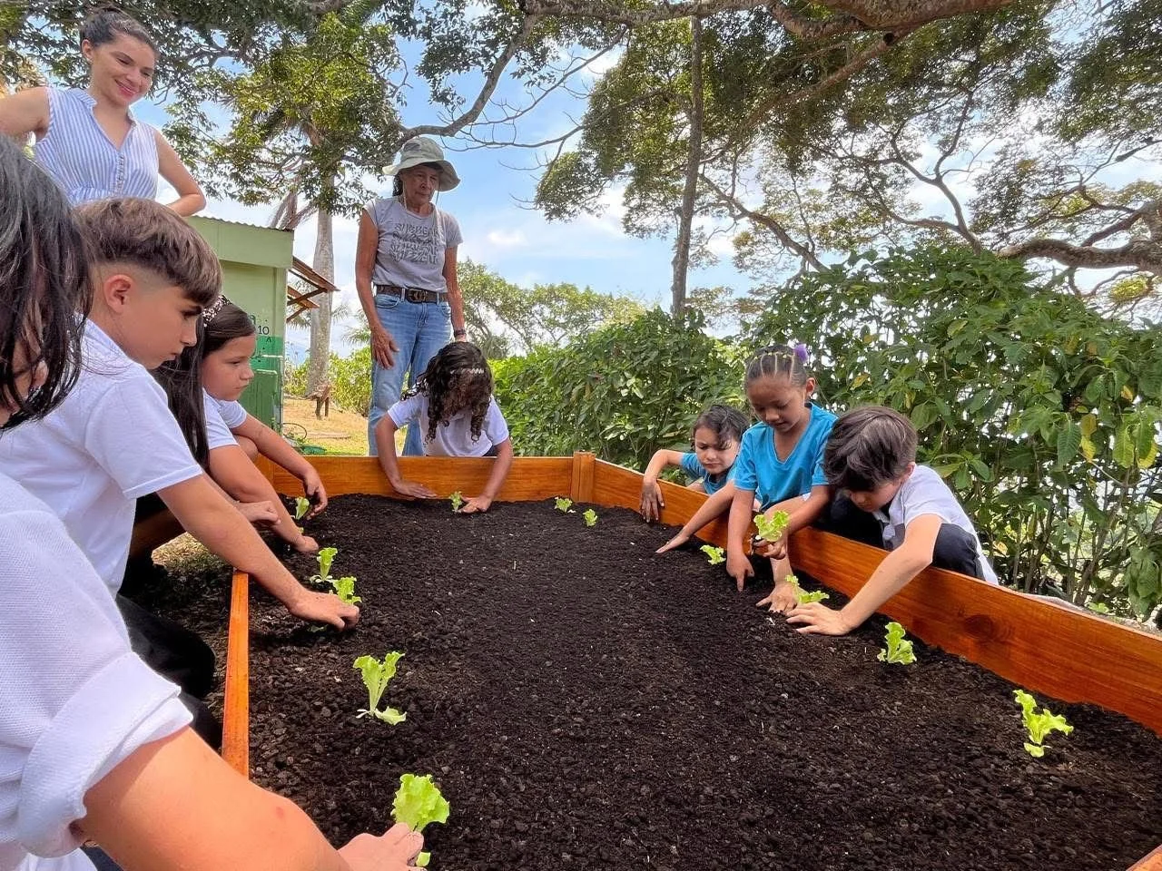Niños sembrando plantas pequeñas en un huerto elevado en un área al aire libre con árboles y nubes en el cielo, acompañados por dos adultos.