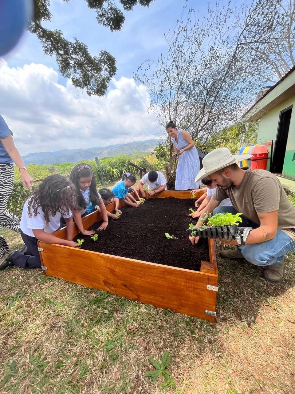 Niños y adultos plantando hojas verdes en una cama de jardín con tierra negra, en un entorno al aire libre con árboles y montañas al fondo.