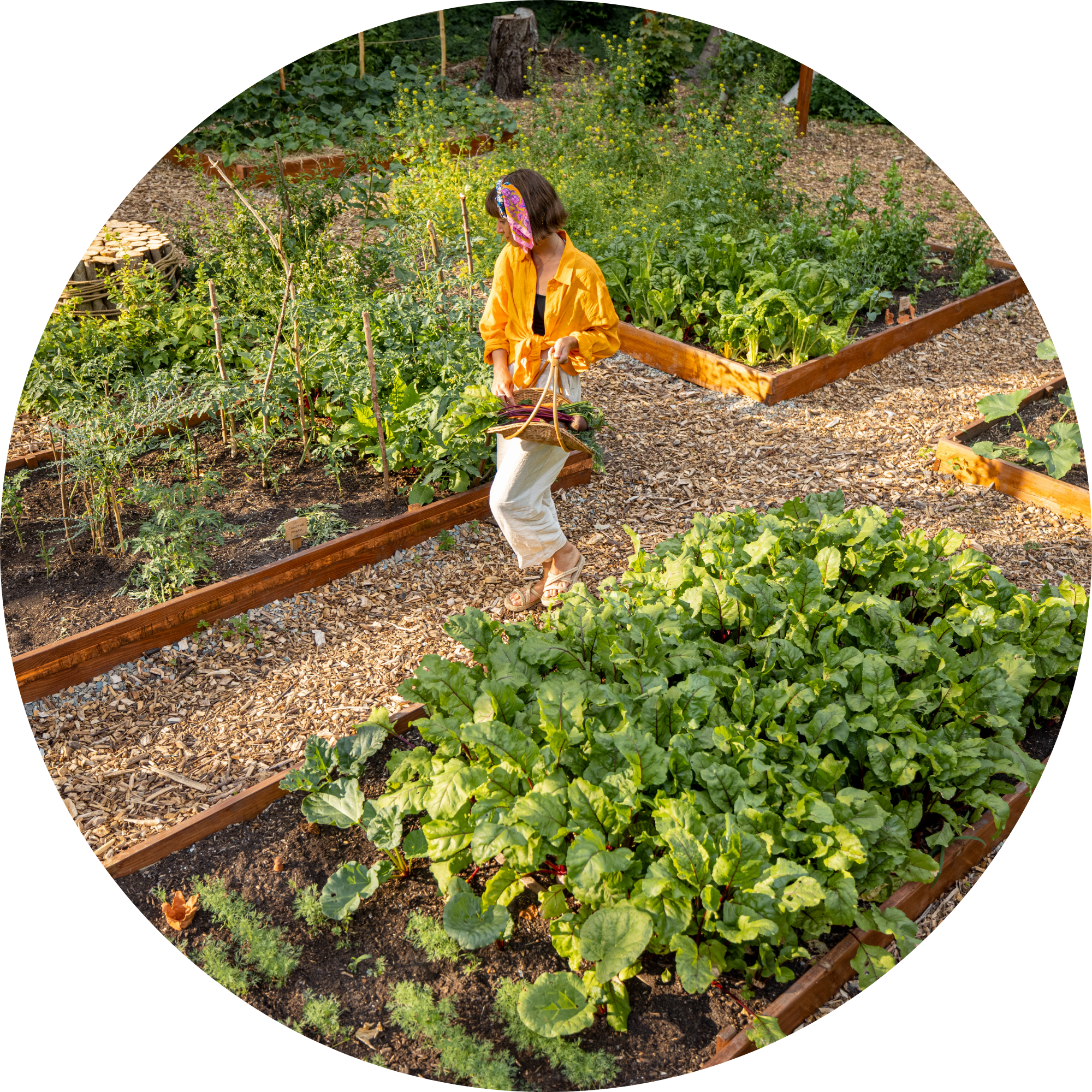 Mujer en un huerto sembrando verduras y plantas de diferentes tipos en camas elevadas de madera.