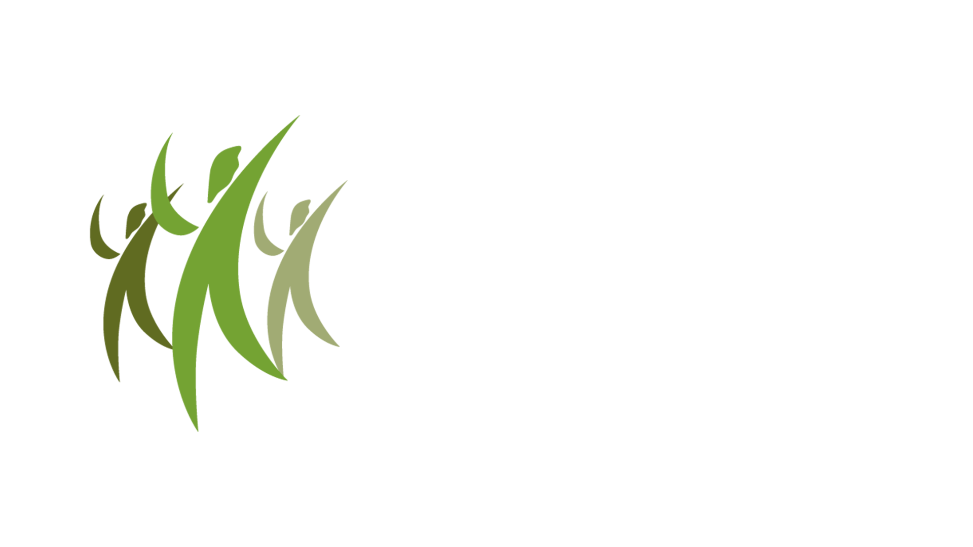 Community Initiatives Fund.png
