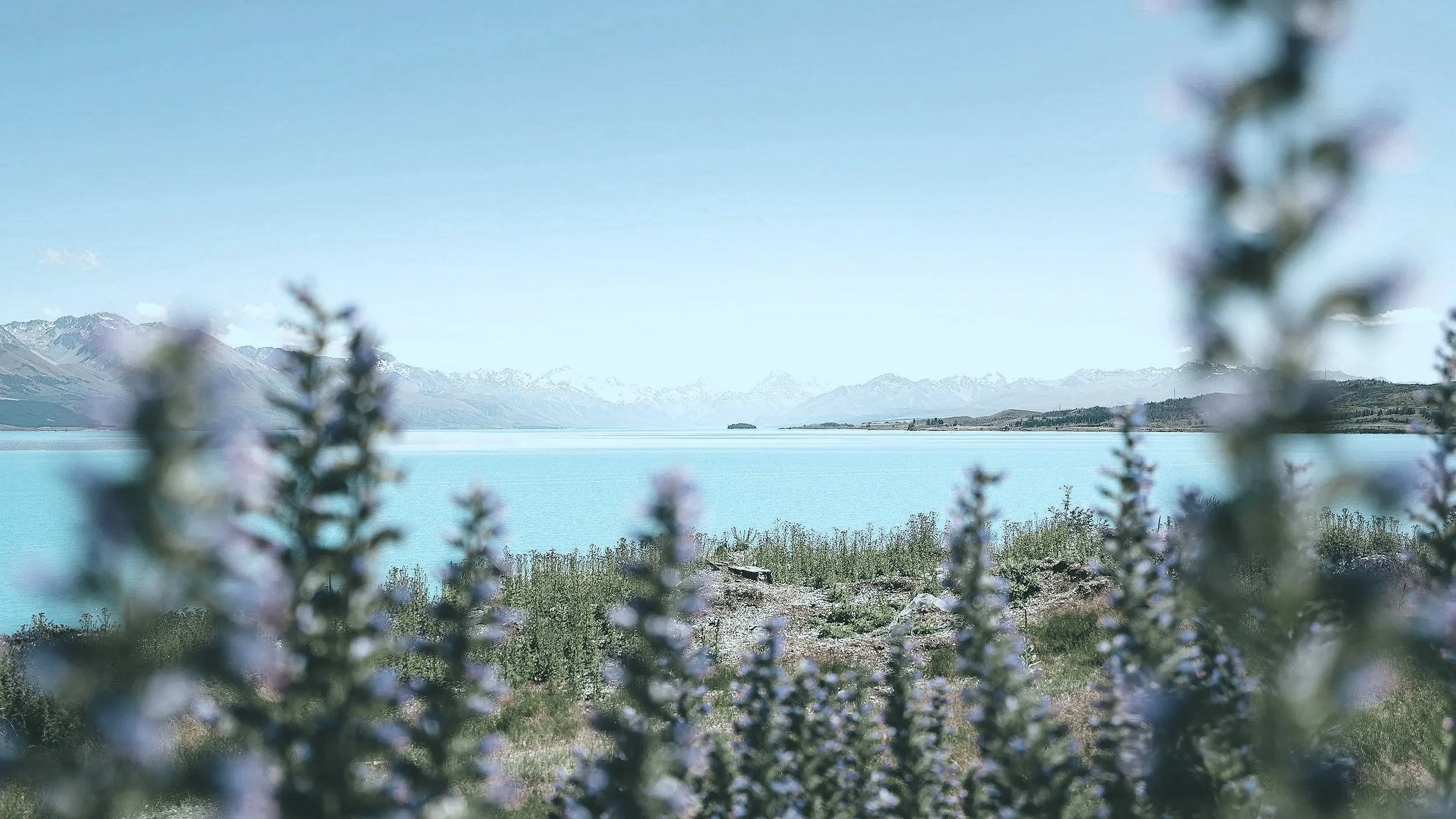 Dawn Smith, LCSW/Polaris Counseling Center, PTSD and Trauma Treatment in Burke, VA