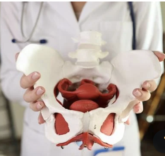 Top 5 Pelvic Floor Tools I recommend!