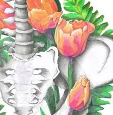 Tailbone pain… not just a pain in the butt