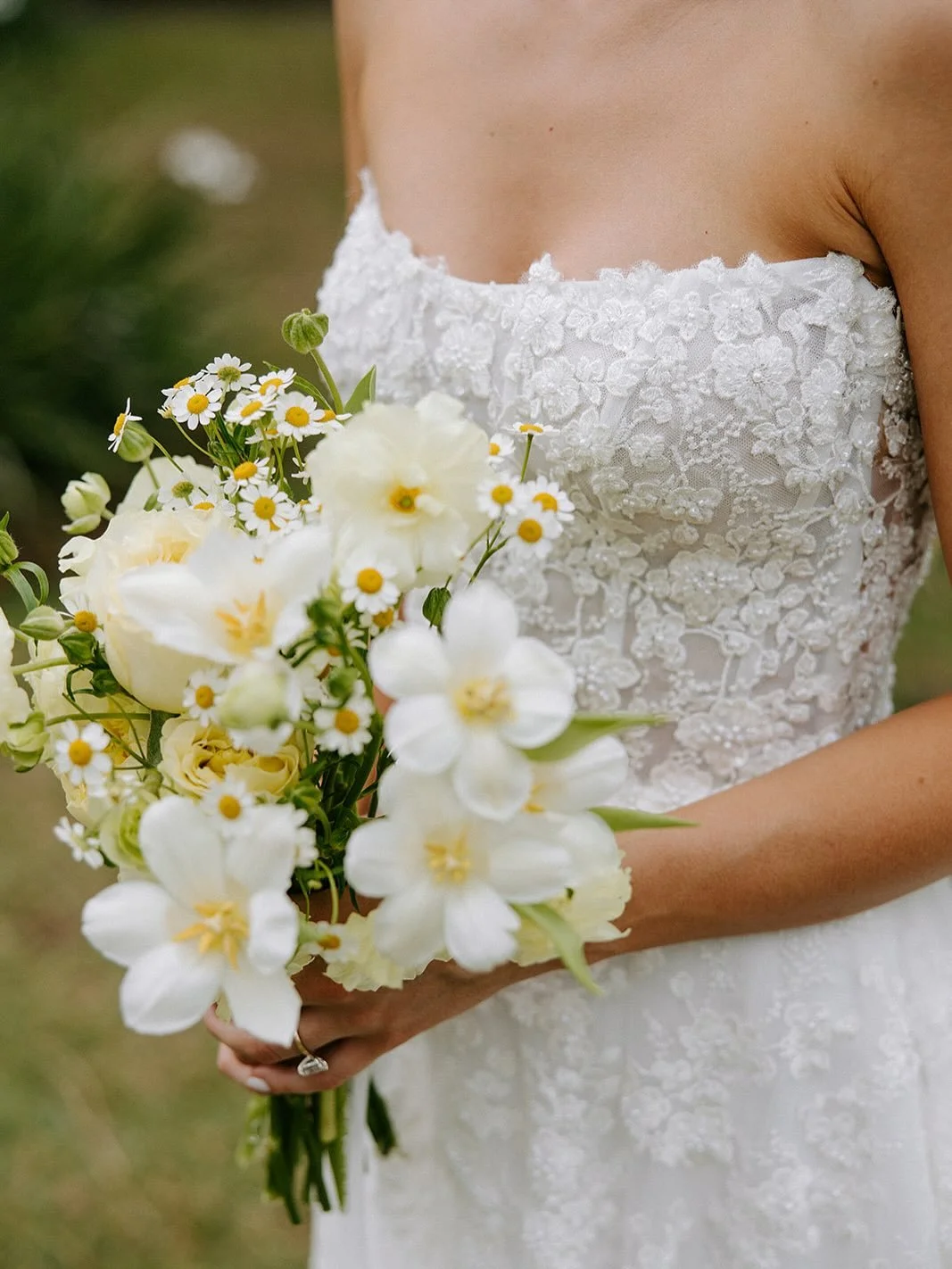 Something pretty, something petaly, something perfect💛