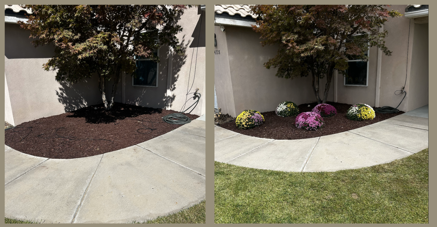 Screenshot 2025-11-20 at 7.26.17 PM.png