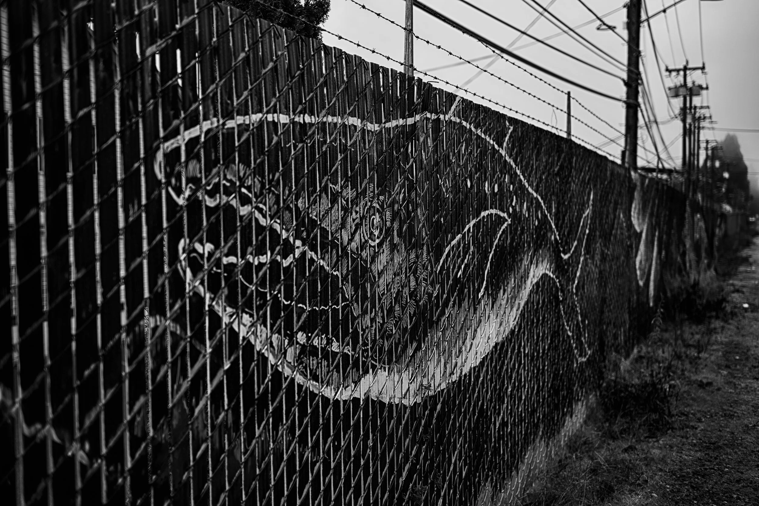 Ballard fence fish.jpg