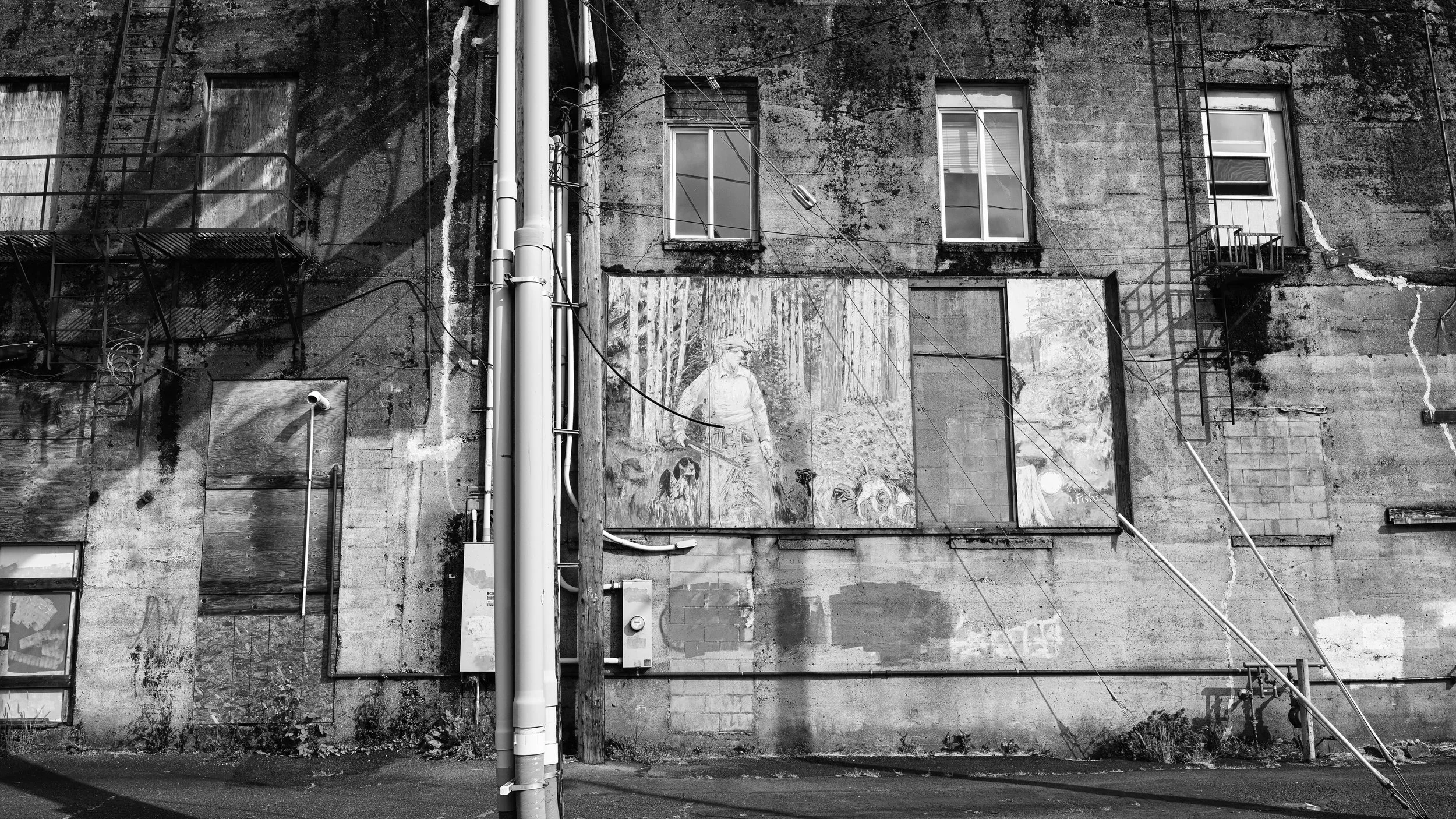 dogs and a shotgun.jpg