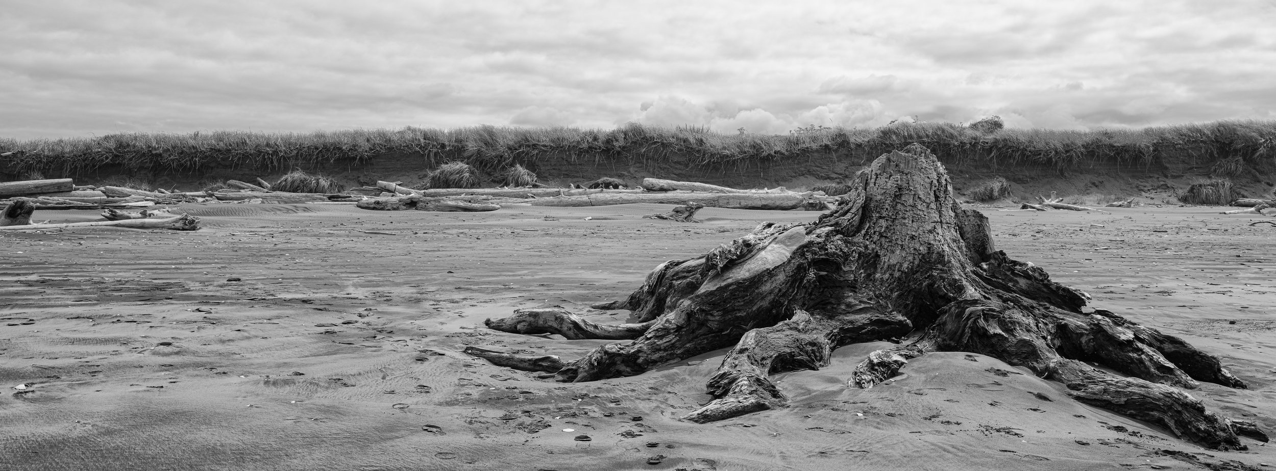 Nature fights back Octo.jpg