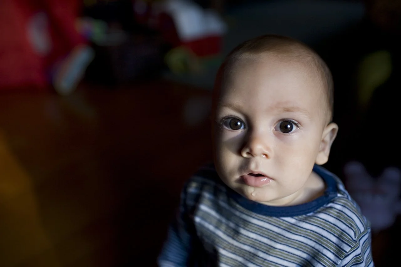 gus-portrait_3246872203_o.jpg