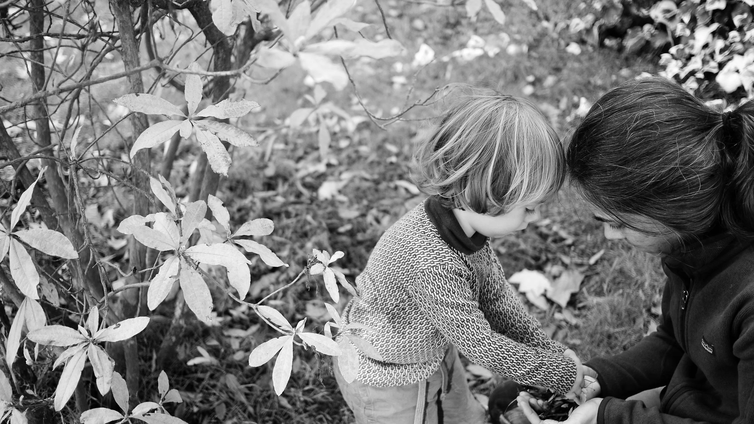 gus-and-laura-collecting-mushrooms_4026261978_o.jpg