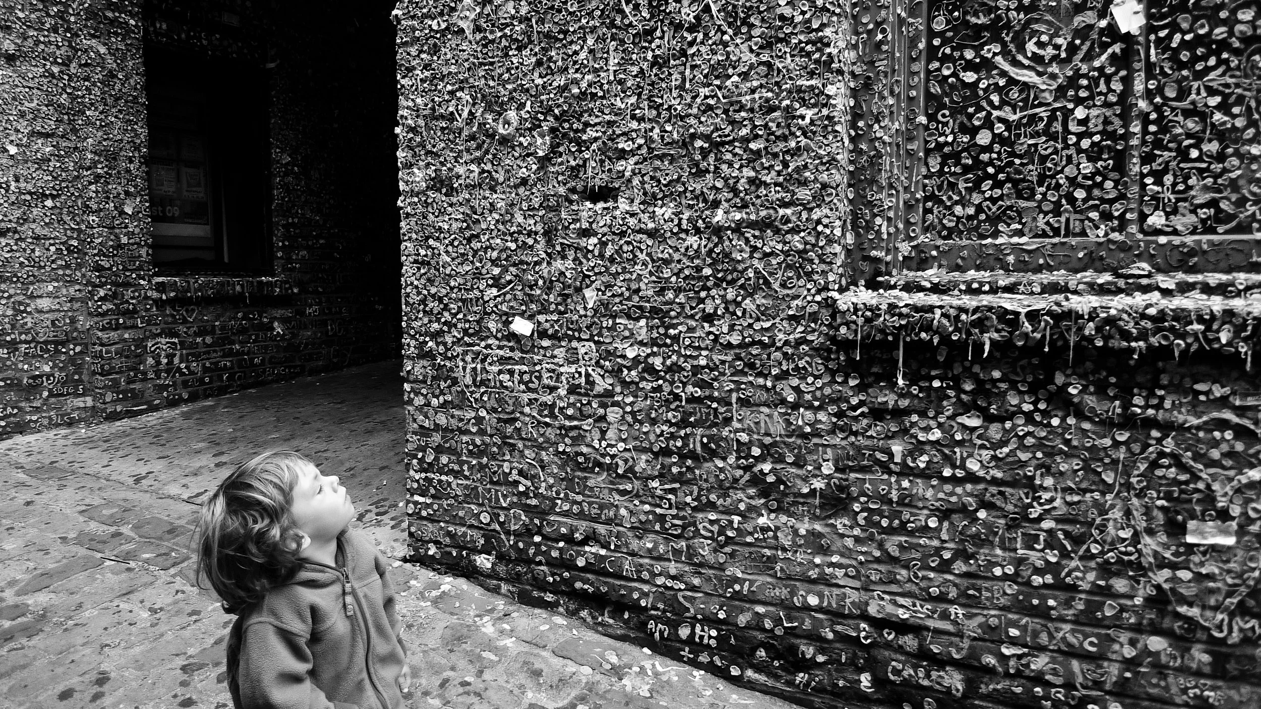 gus-and-the-famous-gum-wall_3812260705_o.jpg