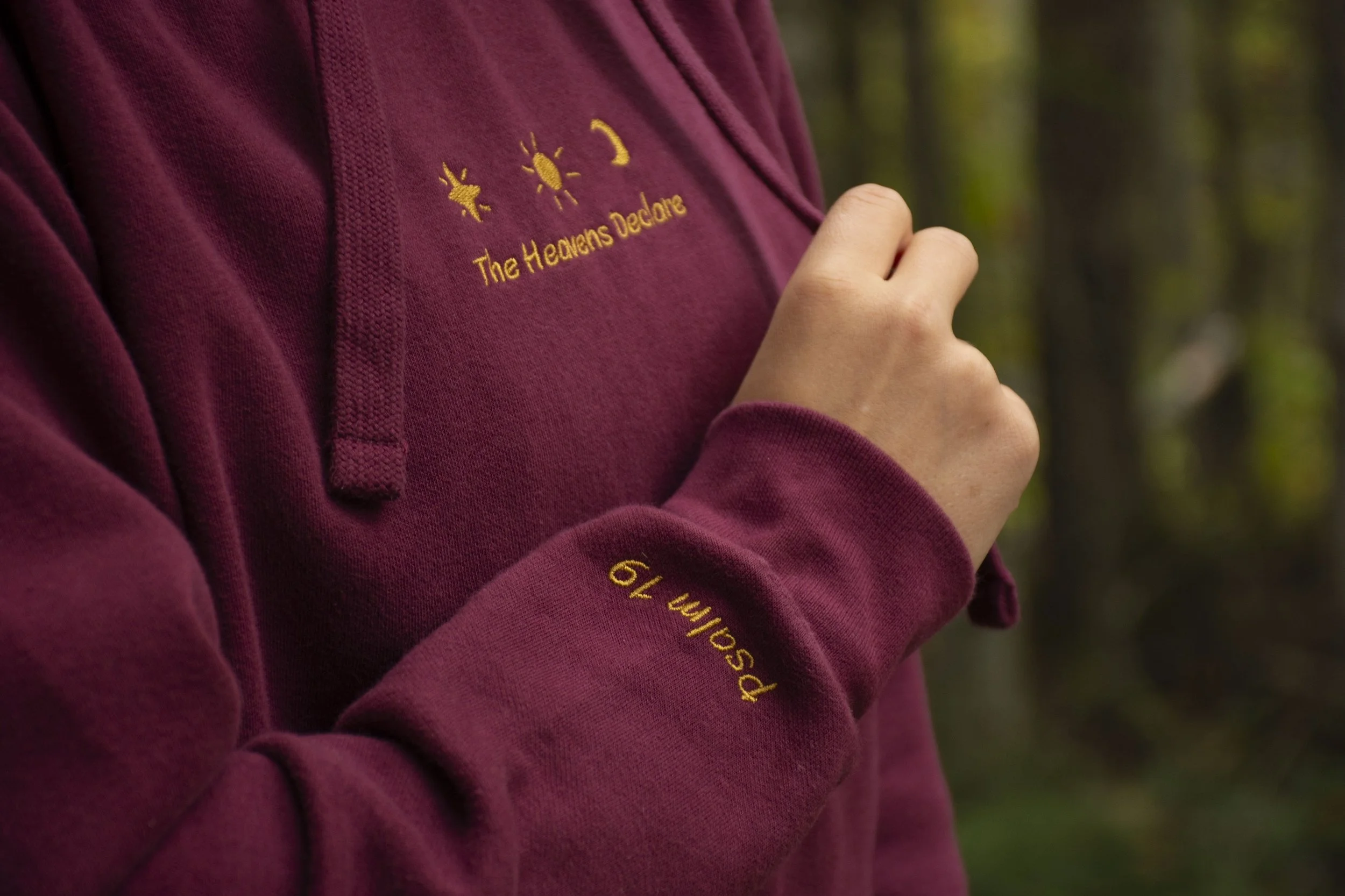 The Heavens Declare Embroidered Hoodie