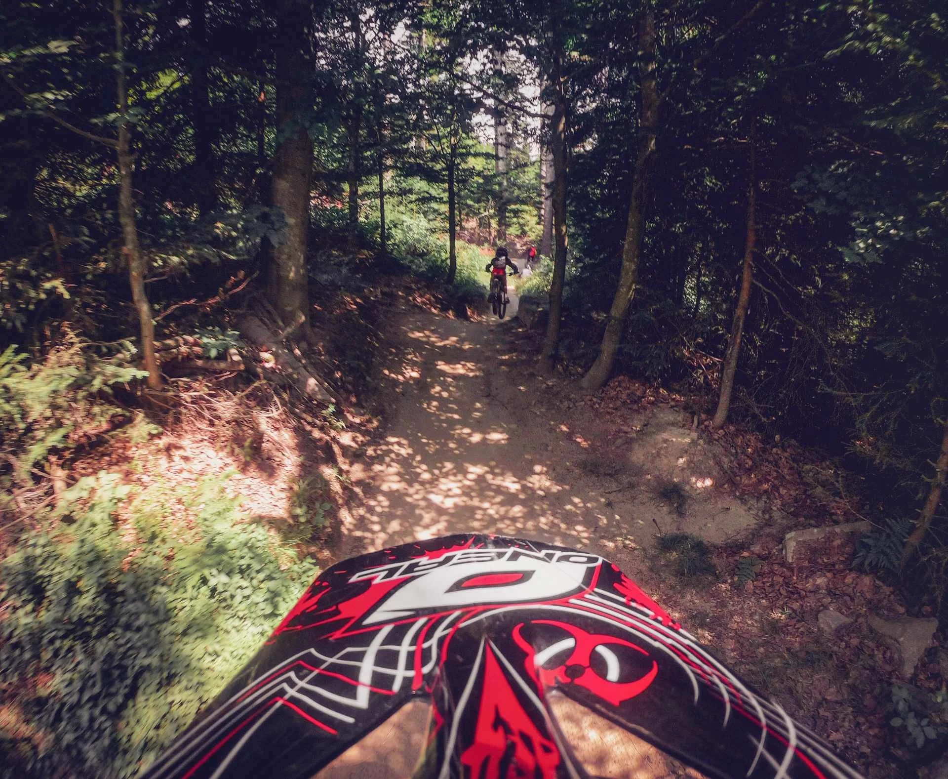 mtbcoach-flow-trail.jpg