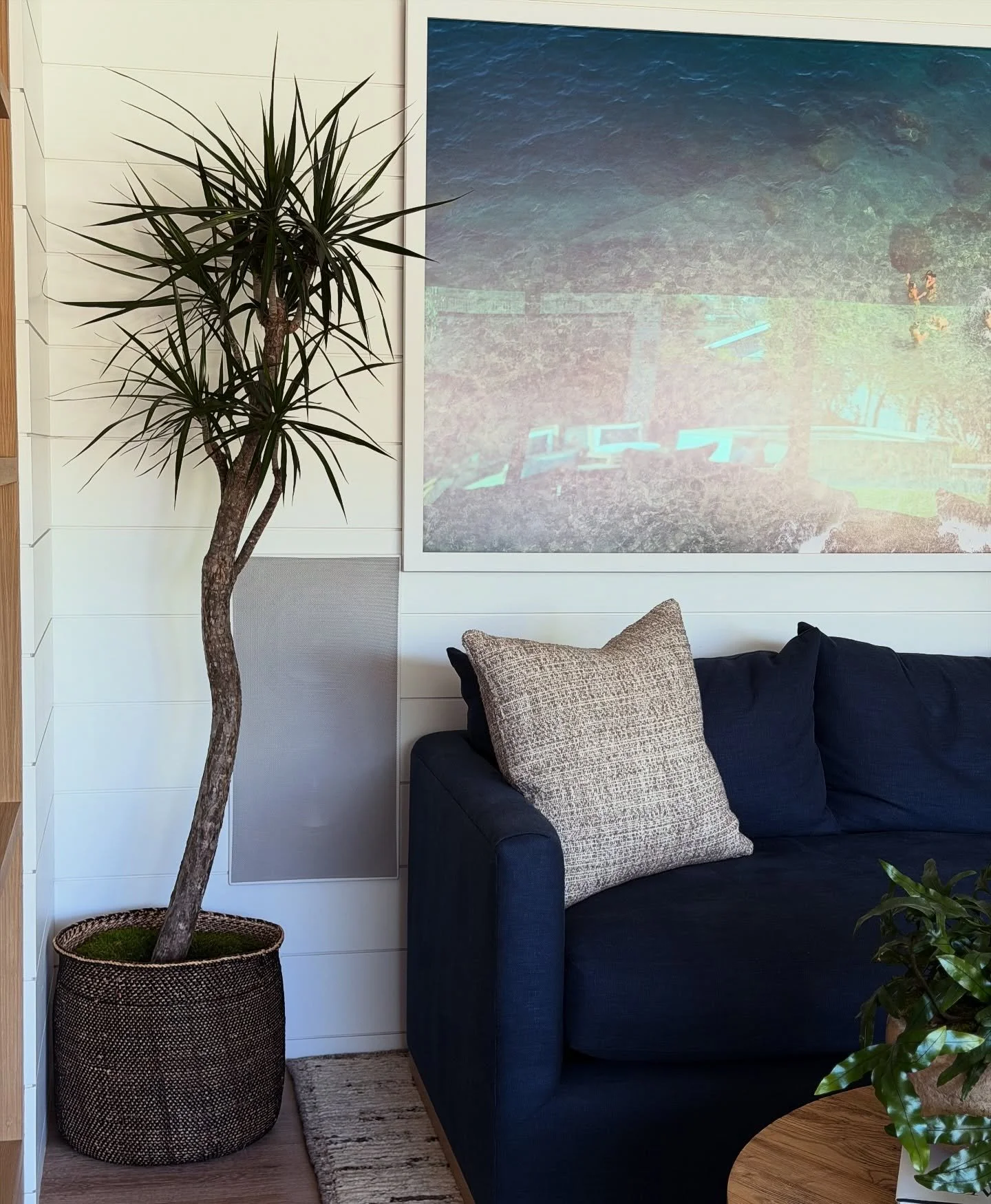 Love the curve of her neck 🌴
.
.
.
#draceanamarginata #plantdesigners #plants #plantscape #orangecounty #newportbeachca #coronadelmar #houseplant