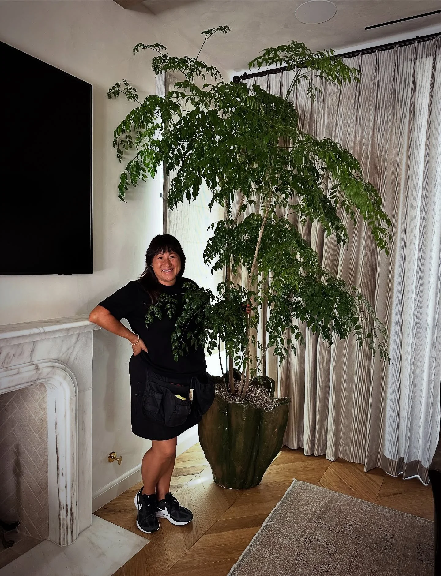 Adding a single statement plant to your space can transform the ambiance. This stunning China Doll plant is both elegant and sculptural, and it&rsquo;s quickly become one of our top picks for large plants.
.
.
Interior design by @poppystreetinteriors