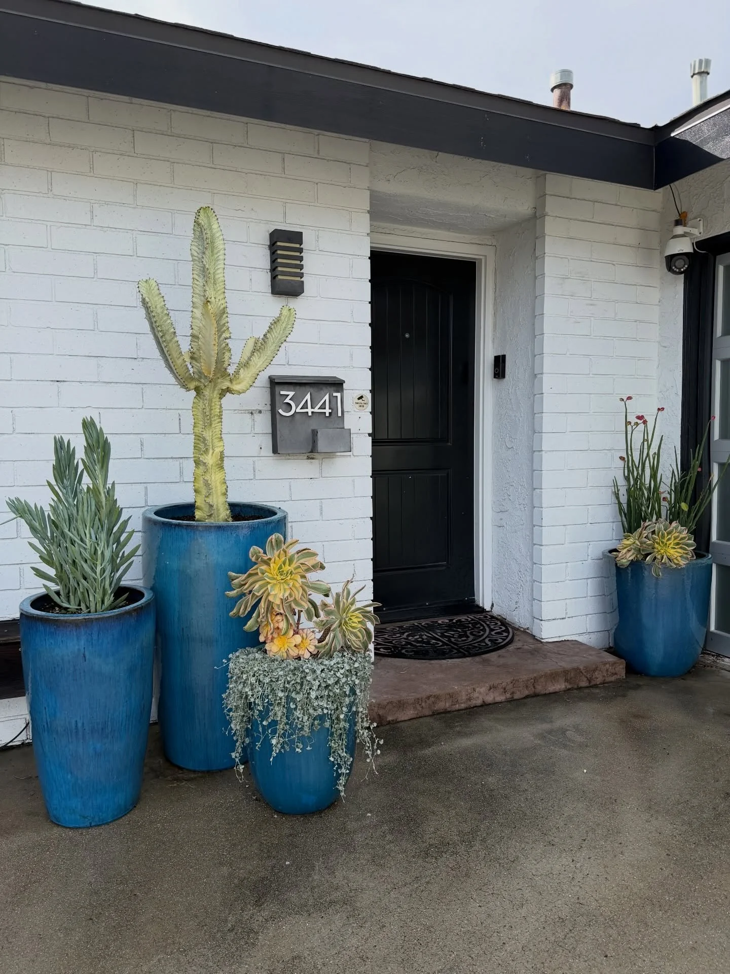 Before &amp; After ~ When the design perfectly matches the installation everyone wins! I just love the pop of color for this Mid Century Modern home. 💙
.
.
#planteddesign #orangecounty #costamesa #plantscape #mcmdesign