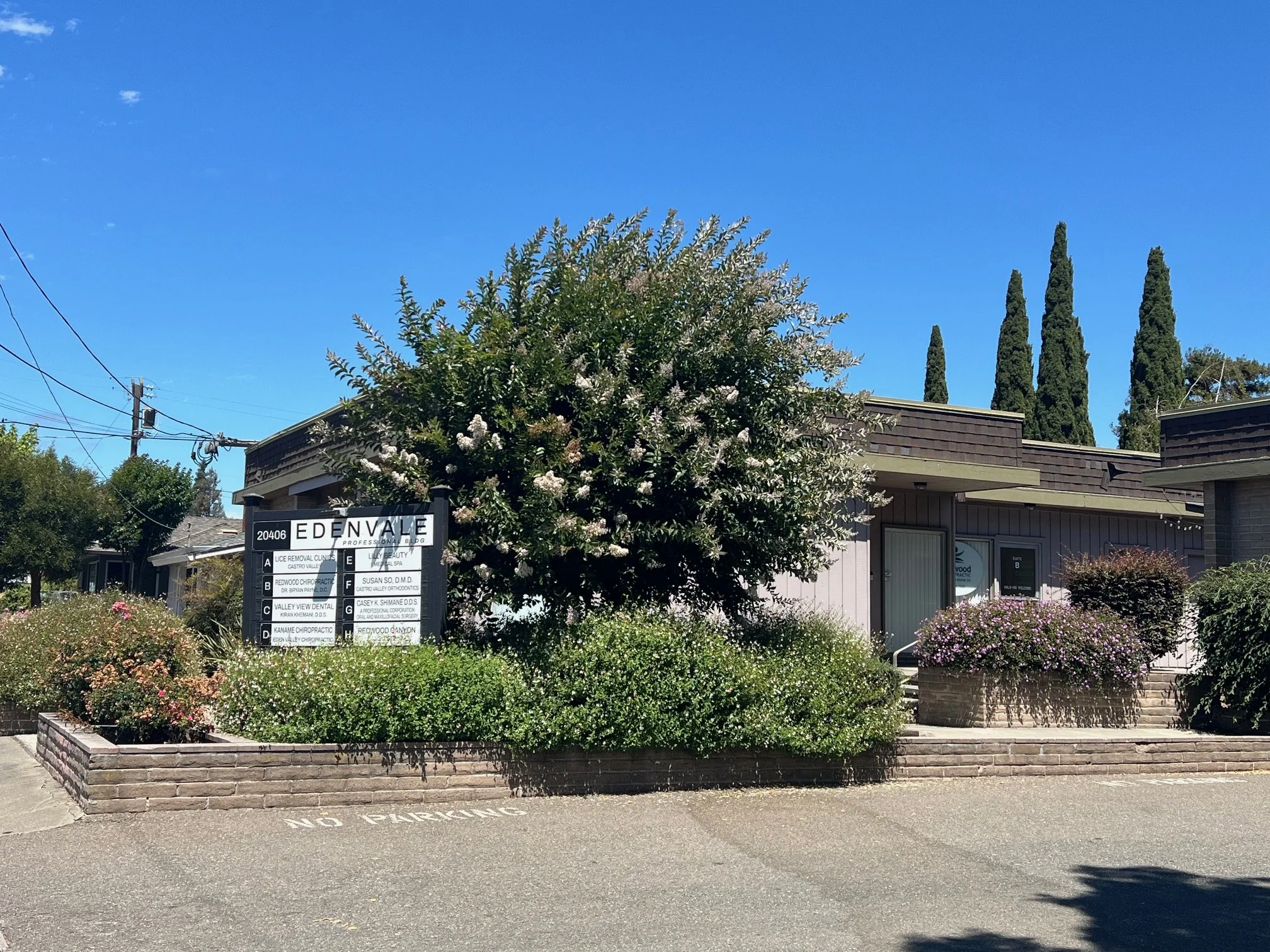Street view of Redwood Chiropractic (across from the Habit Burger on Redwood Rd. in Castro Valley). Located in Suite B. next to Valley View Dental , Kname Chiropractic, and Lily Beauty MedSpa.